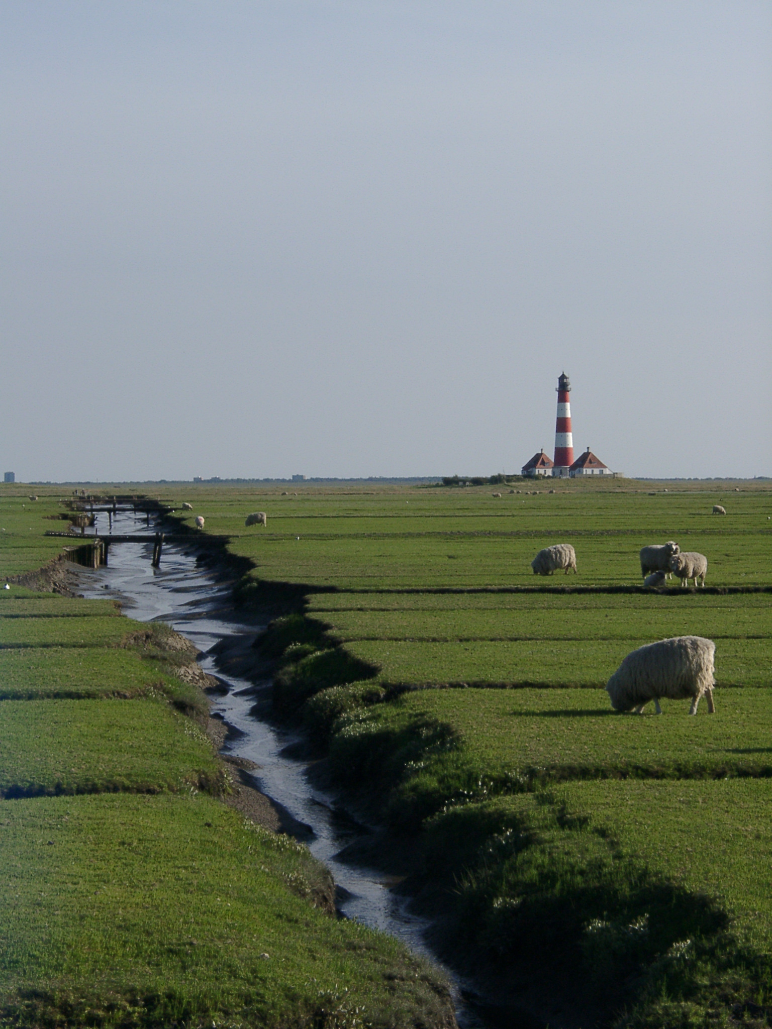 07020066.JPG   /guest/extras/help/3_Demo_content_mixed/07020066.JPG