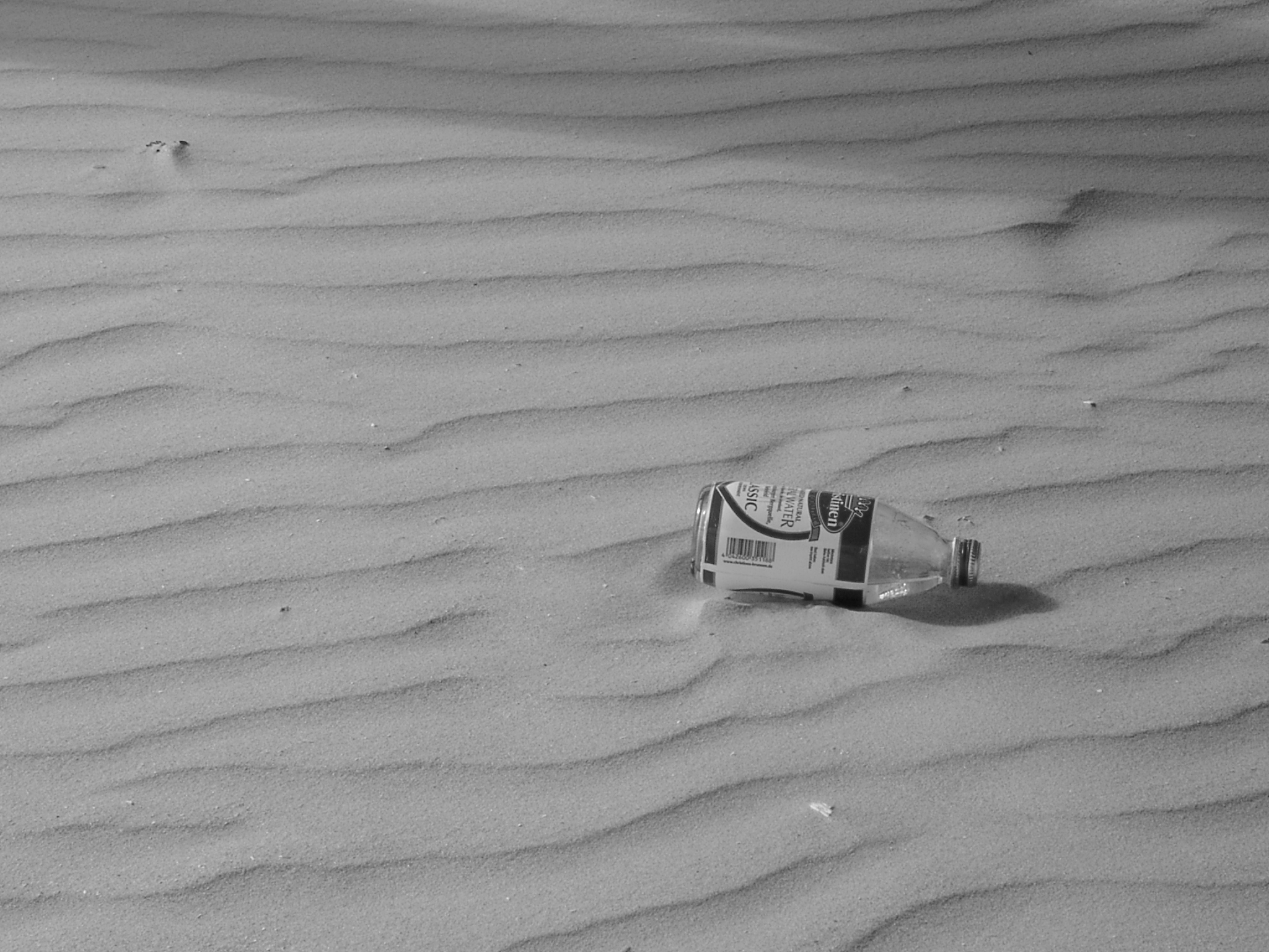 07070050.JPG   /guest/extras/help/3_Demo_content_mixed/07070050.JPG