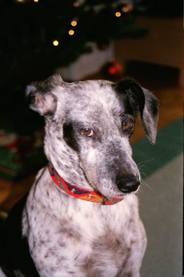 Untitled-Scanned-07a.jpg   /guest/extras/help/3_Demo_content_mixed/Untitled-Scanned-07a.jpg