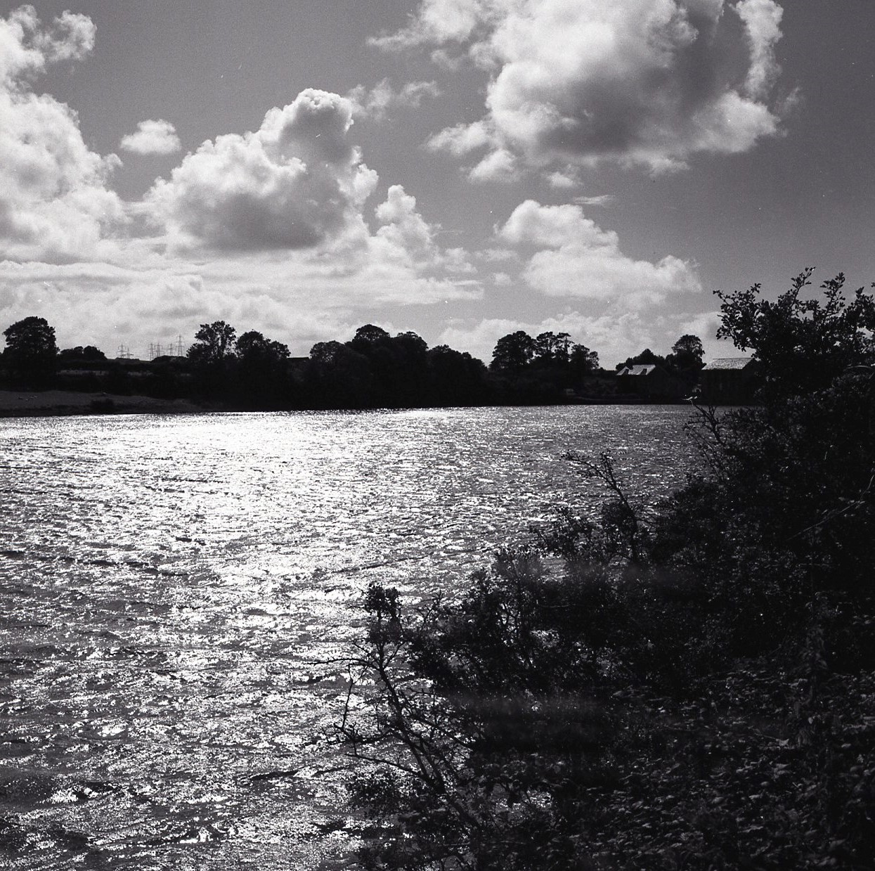 E0024419_img820.jpg   /guest/guest/Images/Carew_Castle_and_millpond/E0024419_img820.jpg