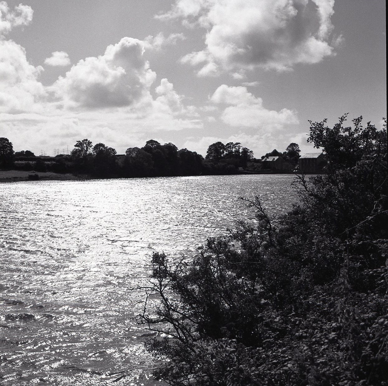 E0024420_img821.jpg   /guest/guest/Images/Carew_Castle_and_millpond/E0024420_img821.jpg