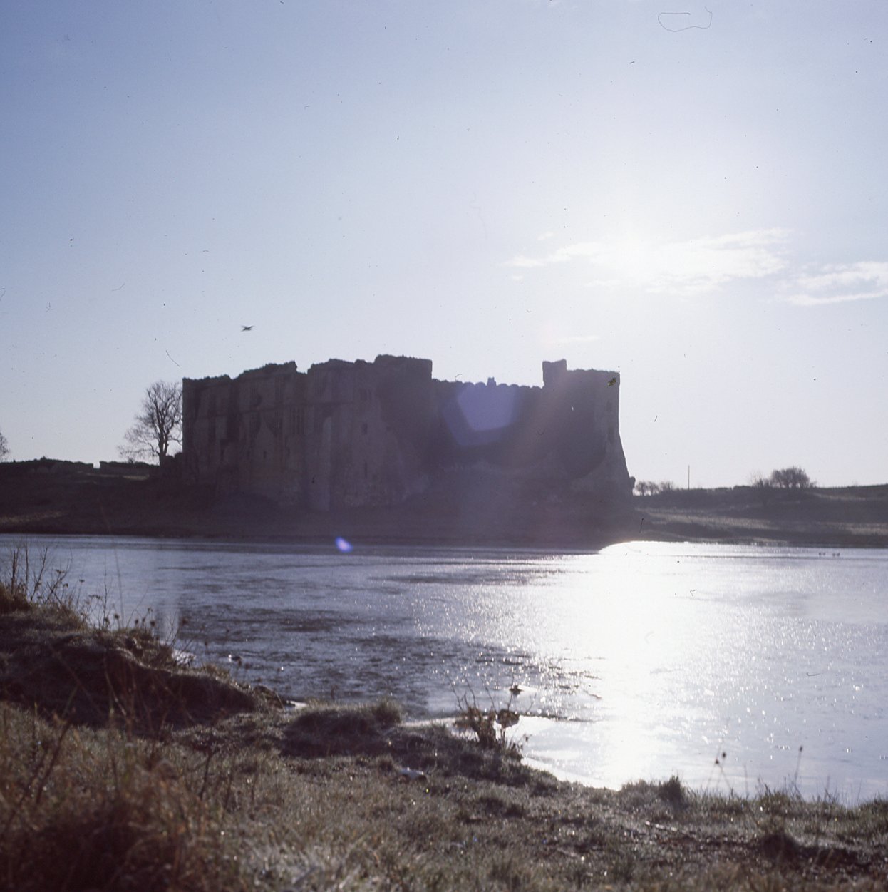 E0024645_img303.jpg   /guest/guest/Images/Carew_Castle_and_millpond/E0024645_img303.jpg