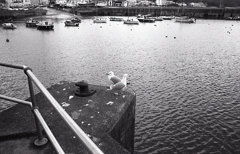 E0023148_img222.jpg   /guest/guest/Images/Saundersfoot/E0023148_img222.jpg