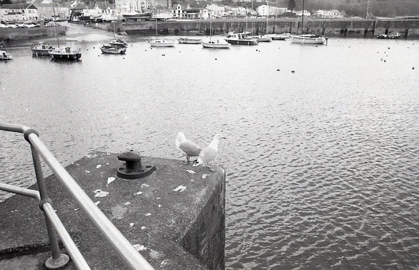 E0023149_img223.jpg   /guest/guest/Images/Saundersfoot/E0023149_img223.jpg