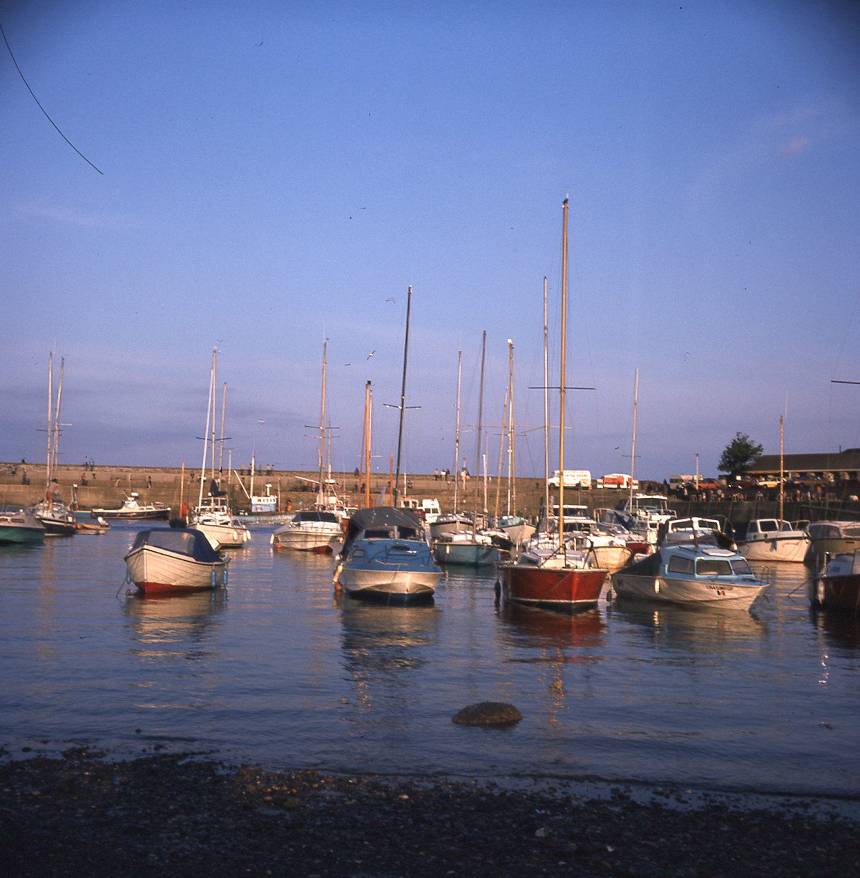 E0024979_img210.jpg   /guest/guest/Images/Saundersfoot/E0024979_img210.jpg