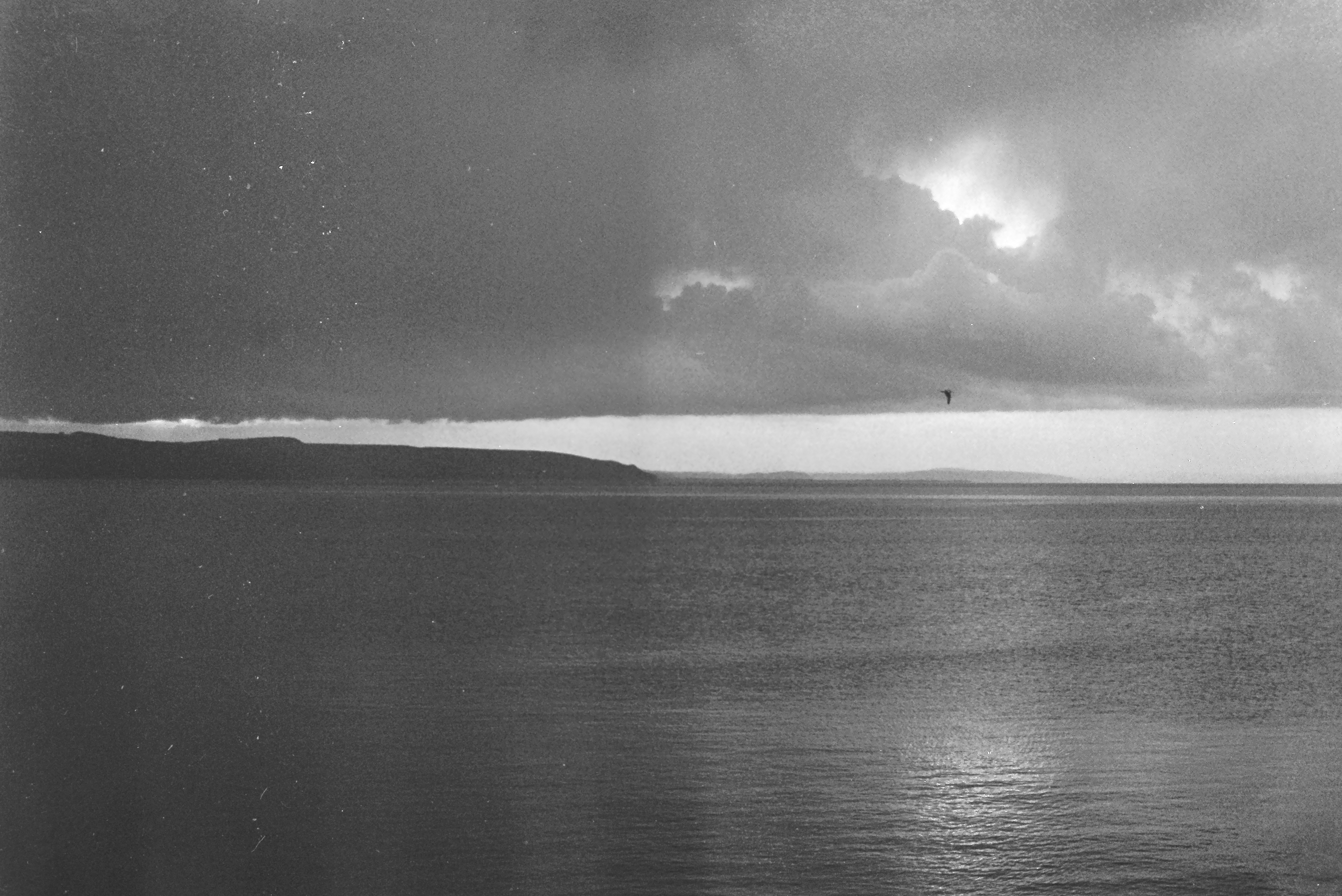 E0029164_IMAG0535.JPG   /guest/guest/Images/Saundersfoot/E0029164_IMAG0535.JPG