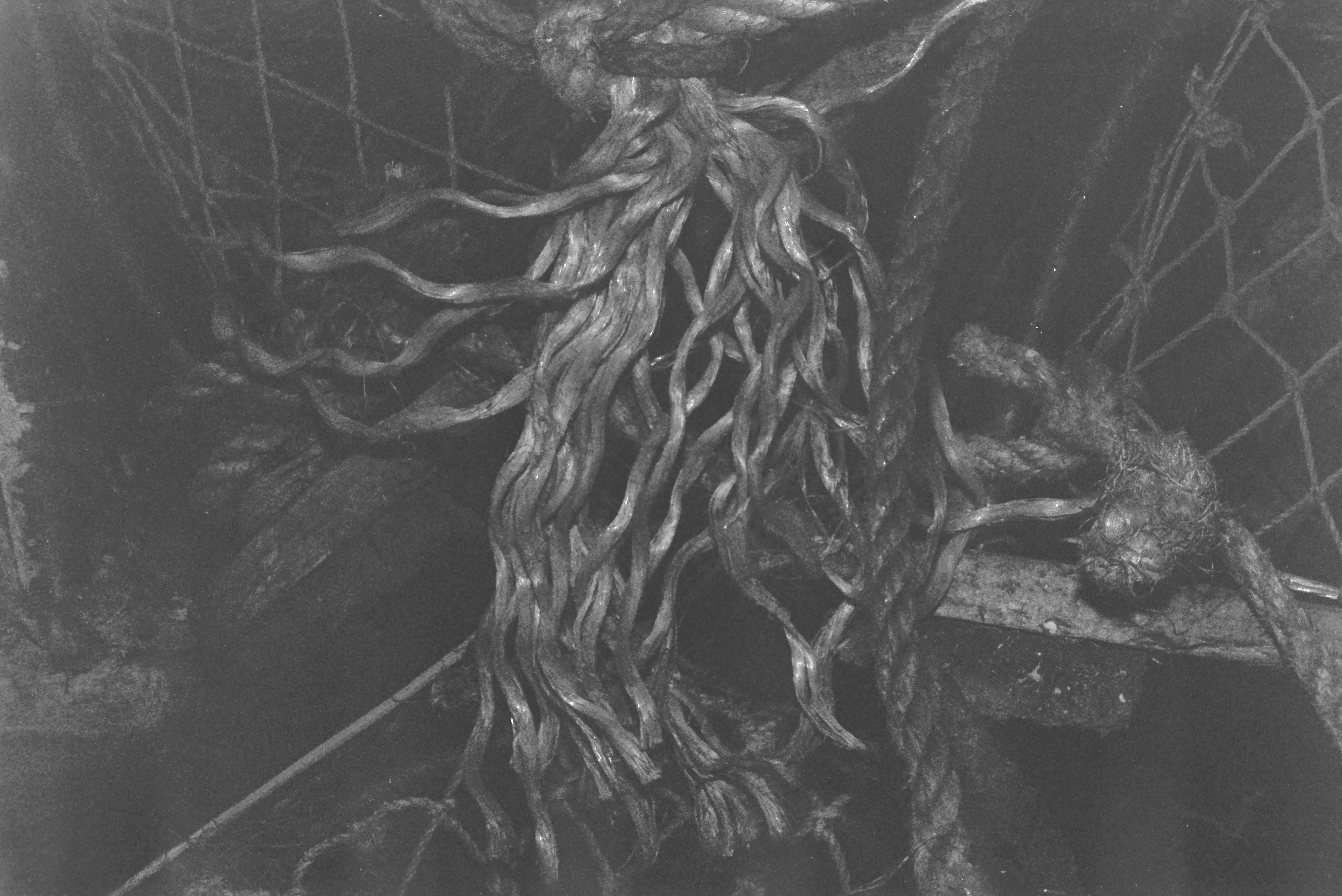 E0029166_IMAG0537.JPG   /guest/guest/Images/Saundersfoot/E0029166_IMAG0537.JPG