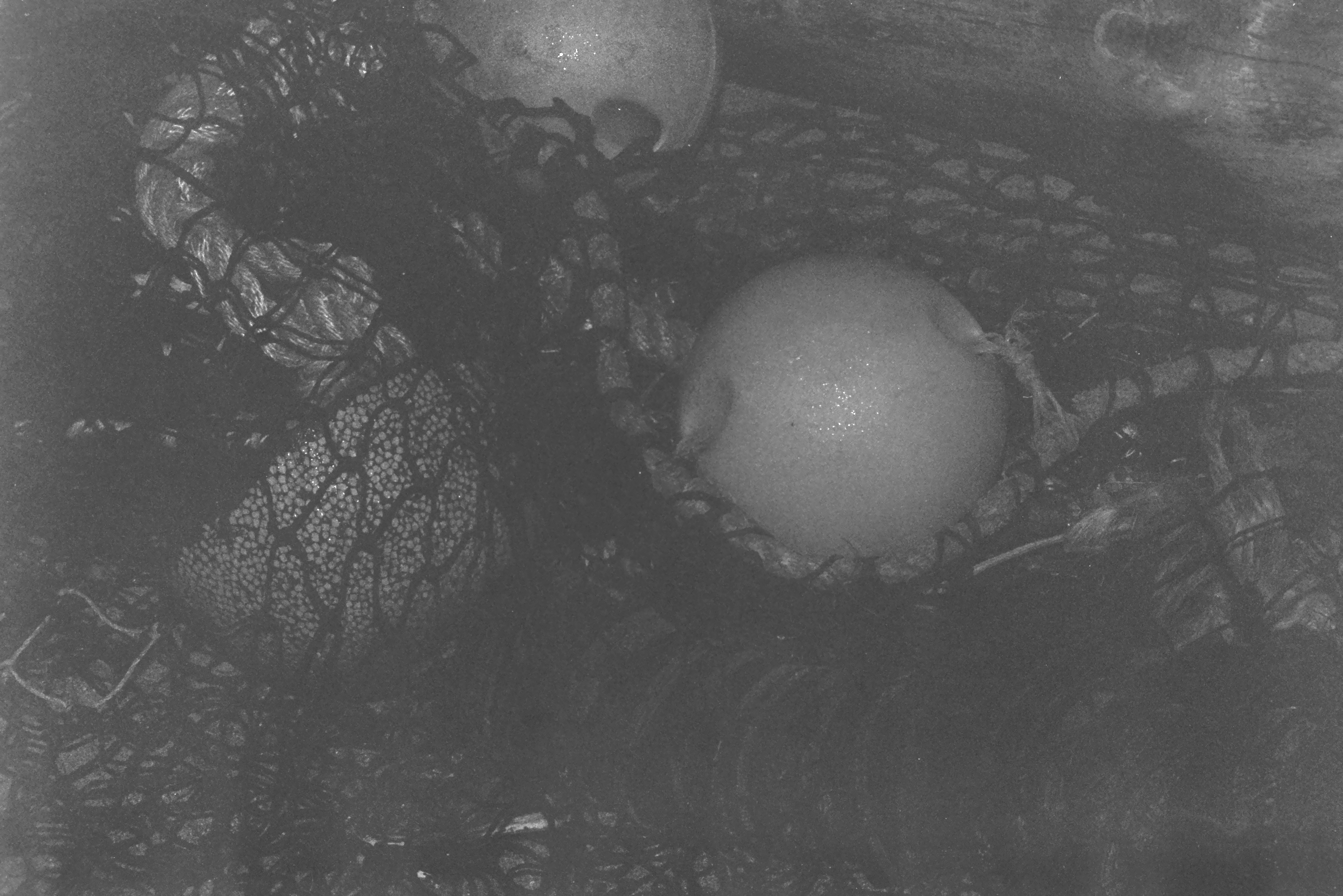 E0029167_IMAG0538.JPG   /guest/guest/Images/Saundersfoot/E0029167_IMAG0538.JPG