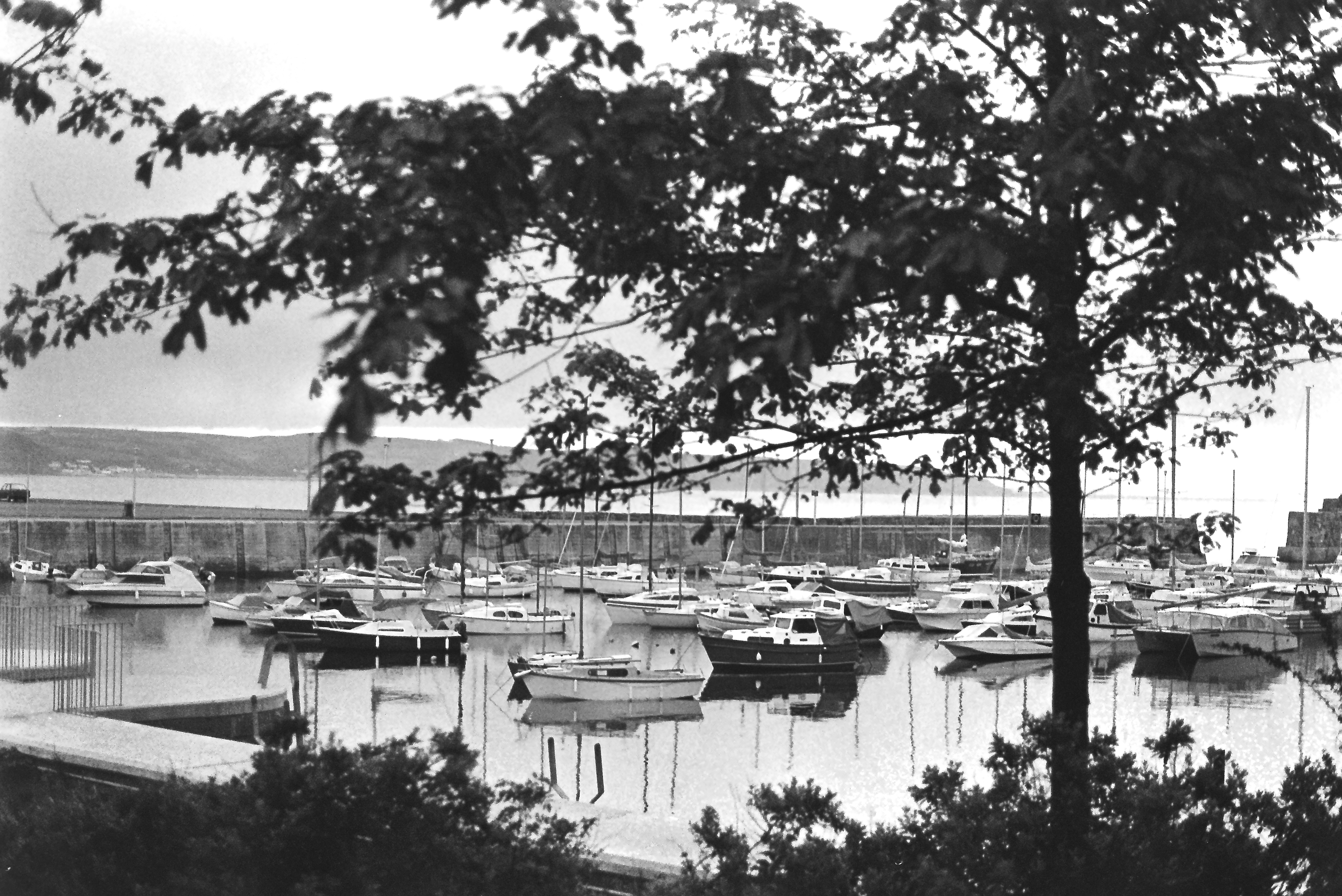 E0029174_IMAG0545.JPG   /guest/guest/Images/Saundersfoot/E0029174_IMAG0545.JPG