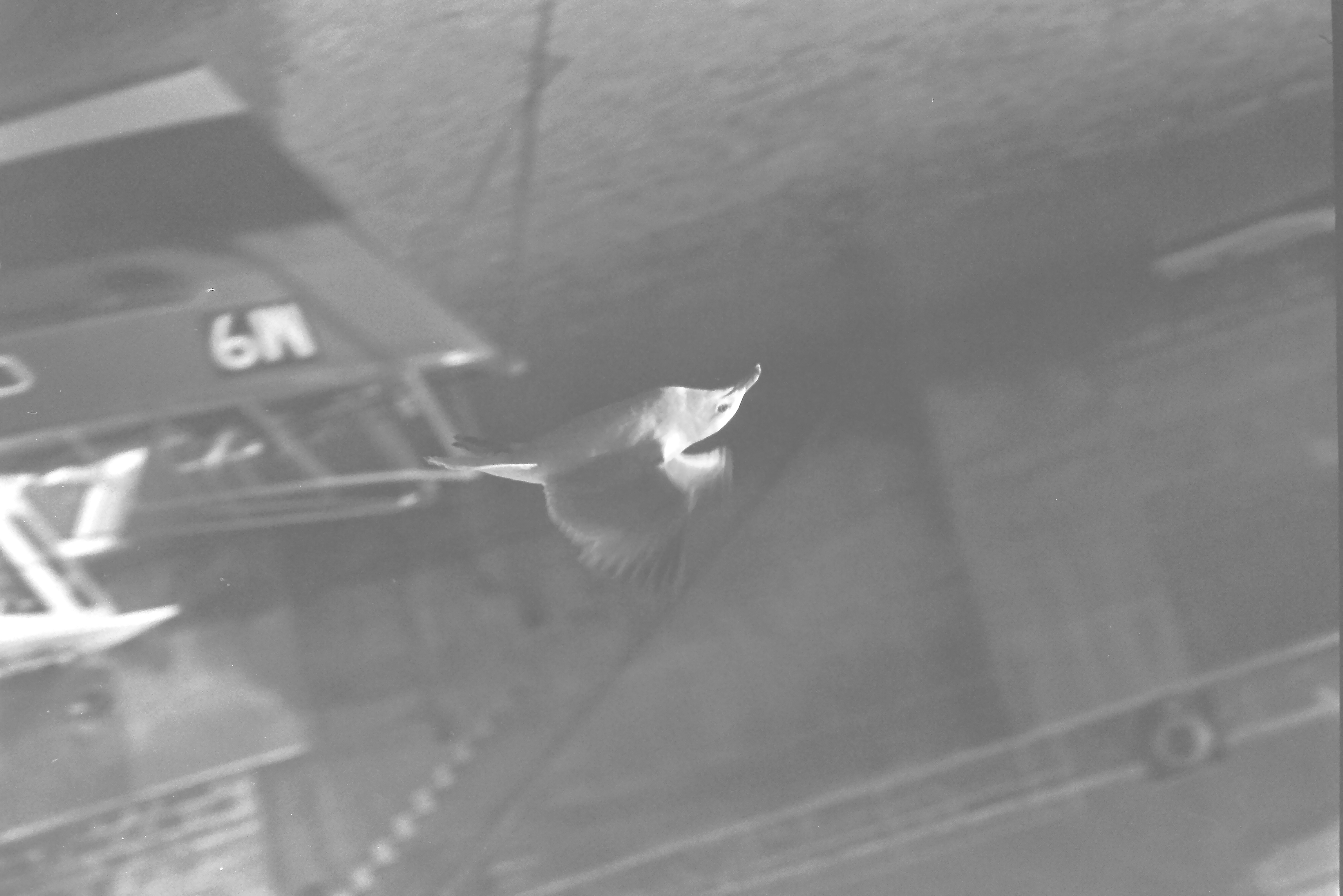 E0029188_IMAG0559.JPG   /guest/guest/Images/Saundersfoot/E0029188_IMAG0559.JPG