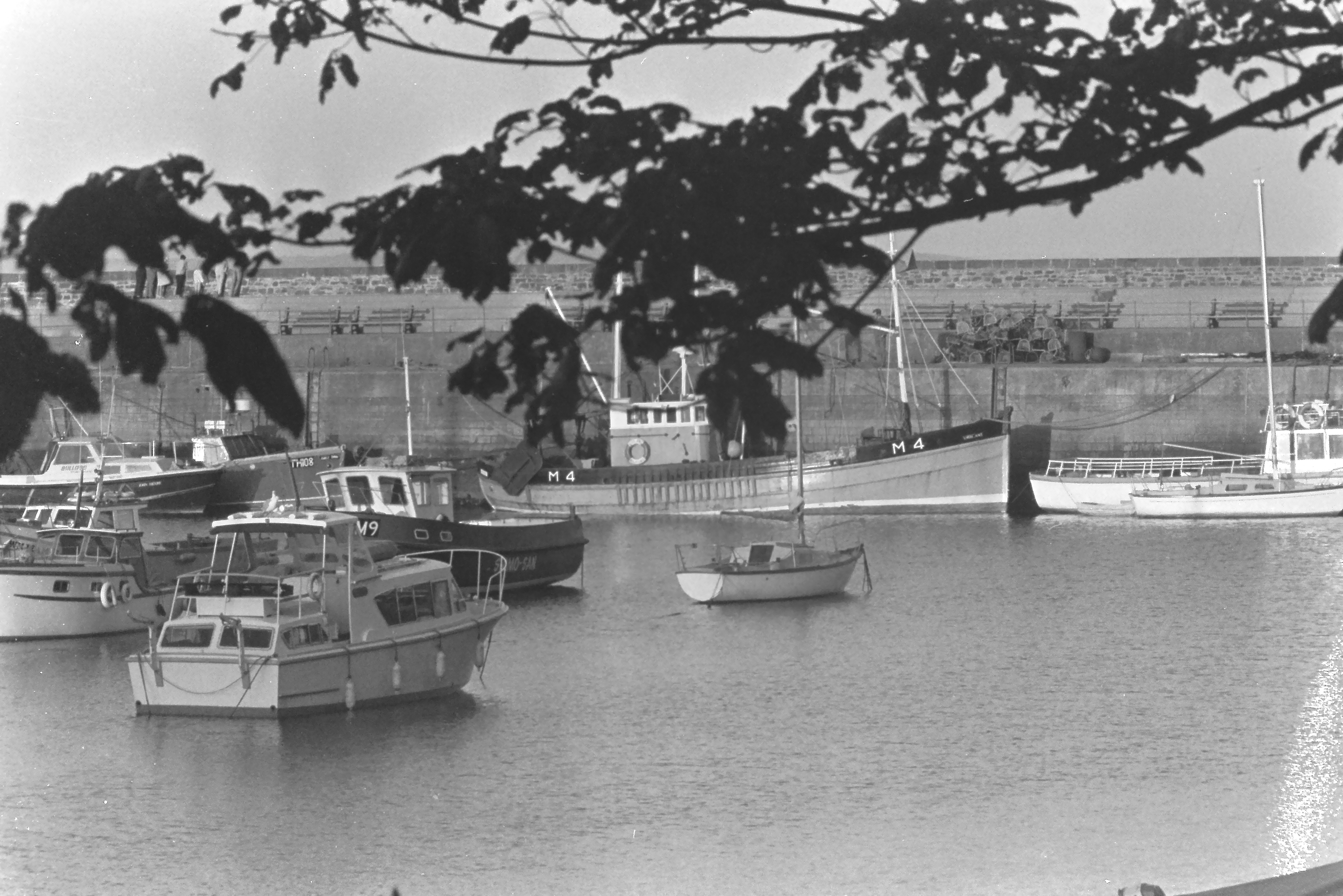 E0029200_IMAG0571.JPG   /guest/guest/Images/Saundersfoot/E0029200_IMAG0571.JPG