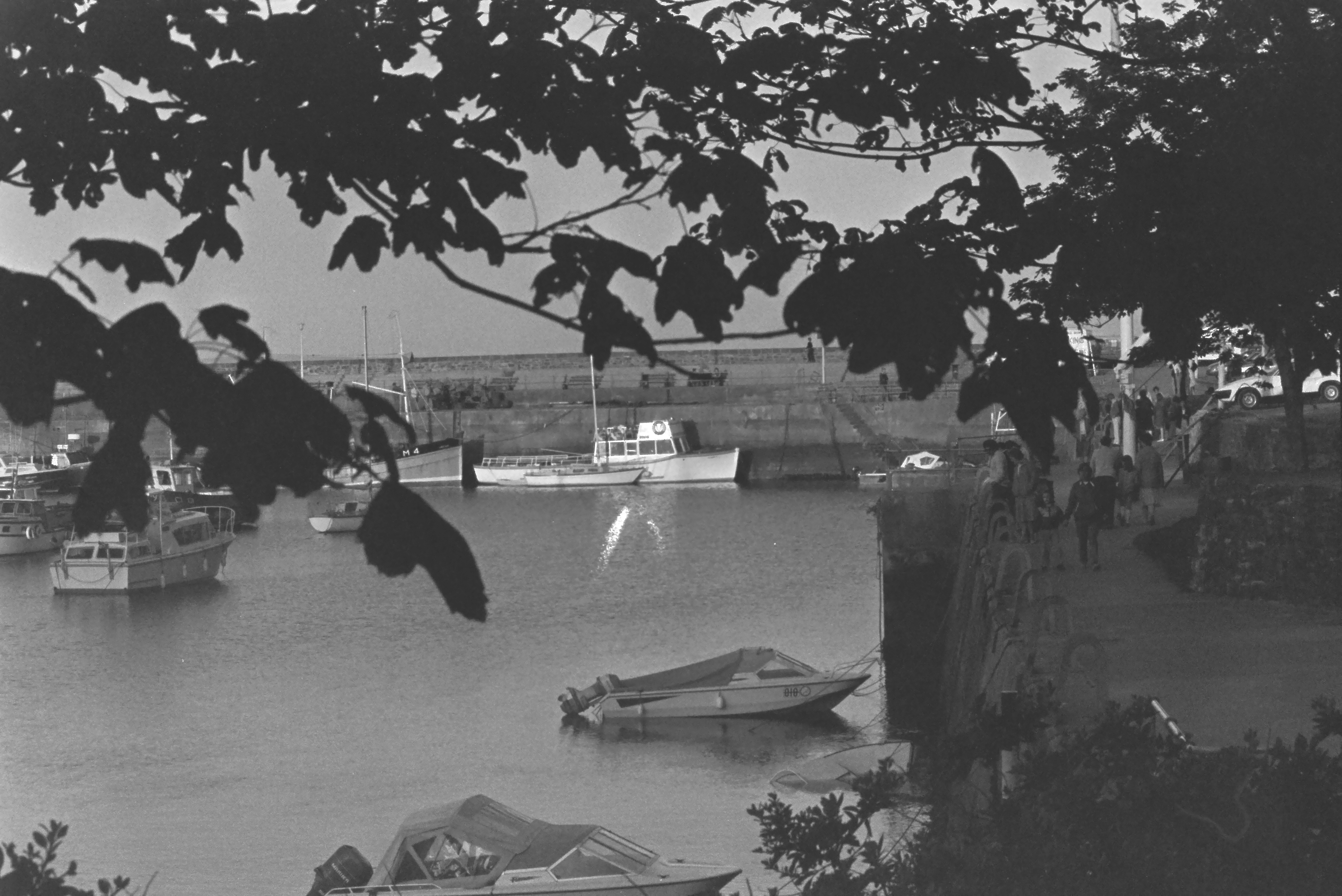 E0029201_IMAG0572.JPG   /guest/guest/Images/Saundersfoot/E0029201_IMAG0572.JPG