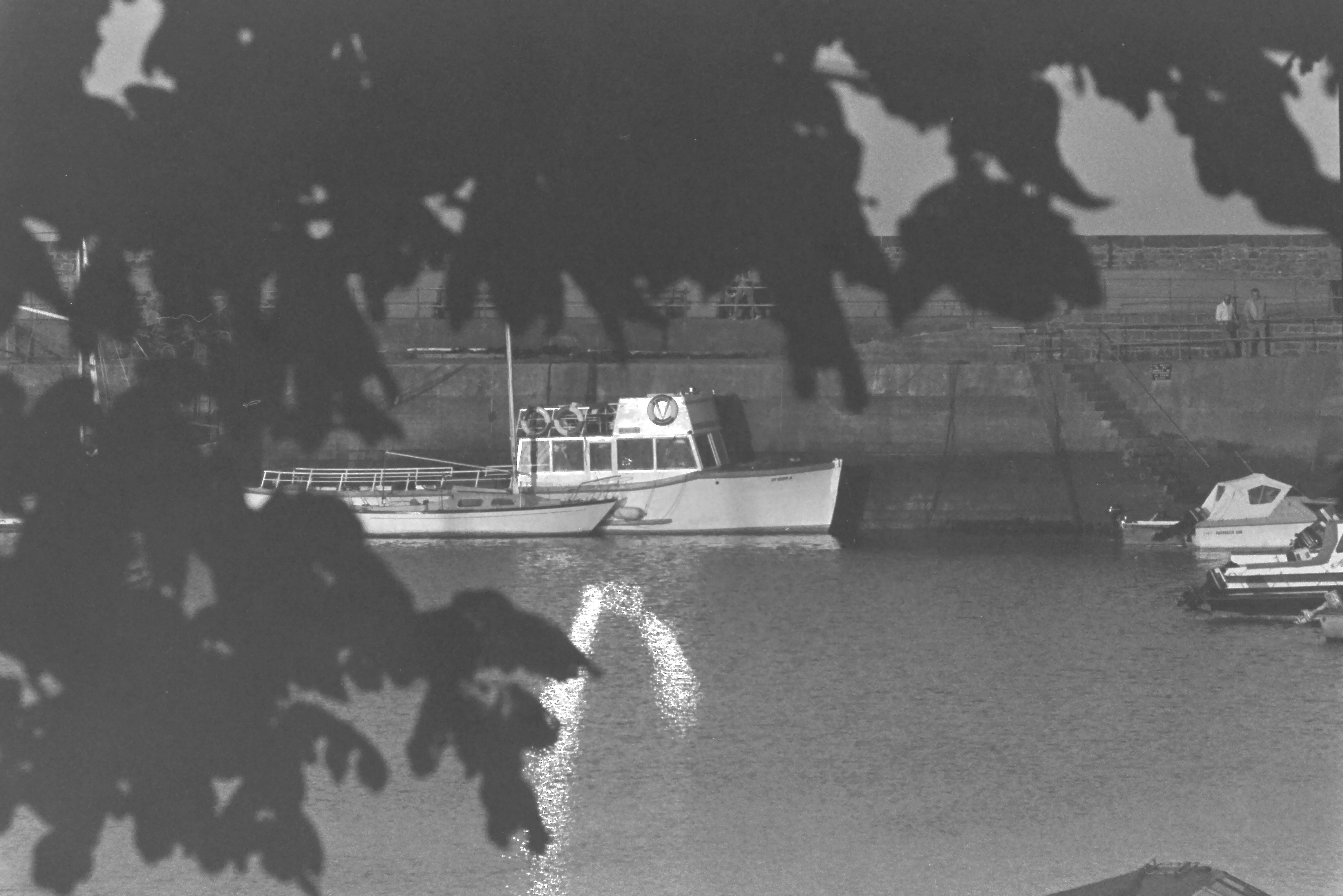 E0029202_IMAG0573.JPG   /guest/guest/Images/Saundersfoot/E0029202_IMAG0573.JPG