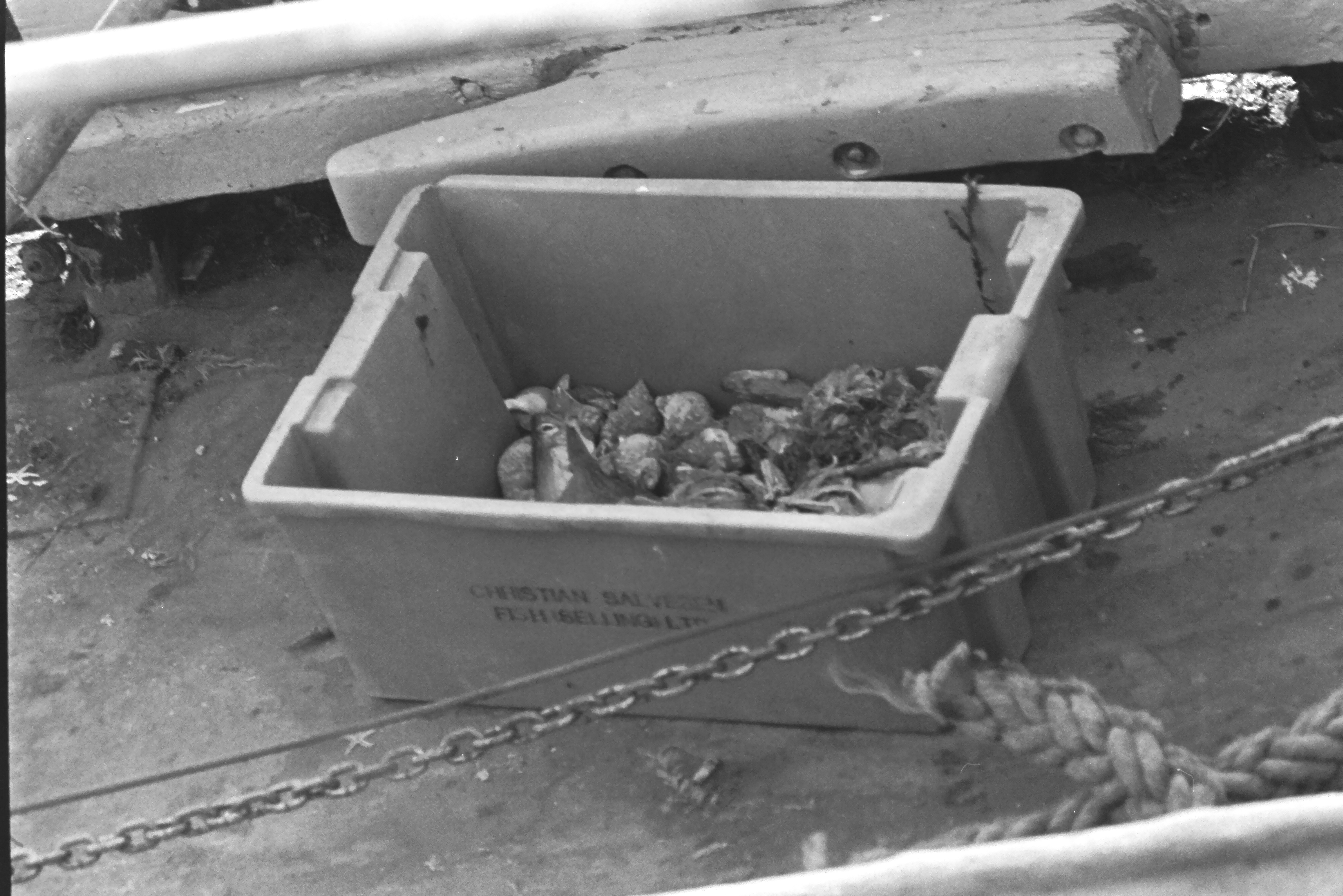 E0029209_IMAG0580.JPG   /guest/guest/Images/Saundersfoot/E0029209_IMAG0580.JPG