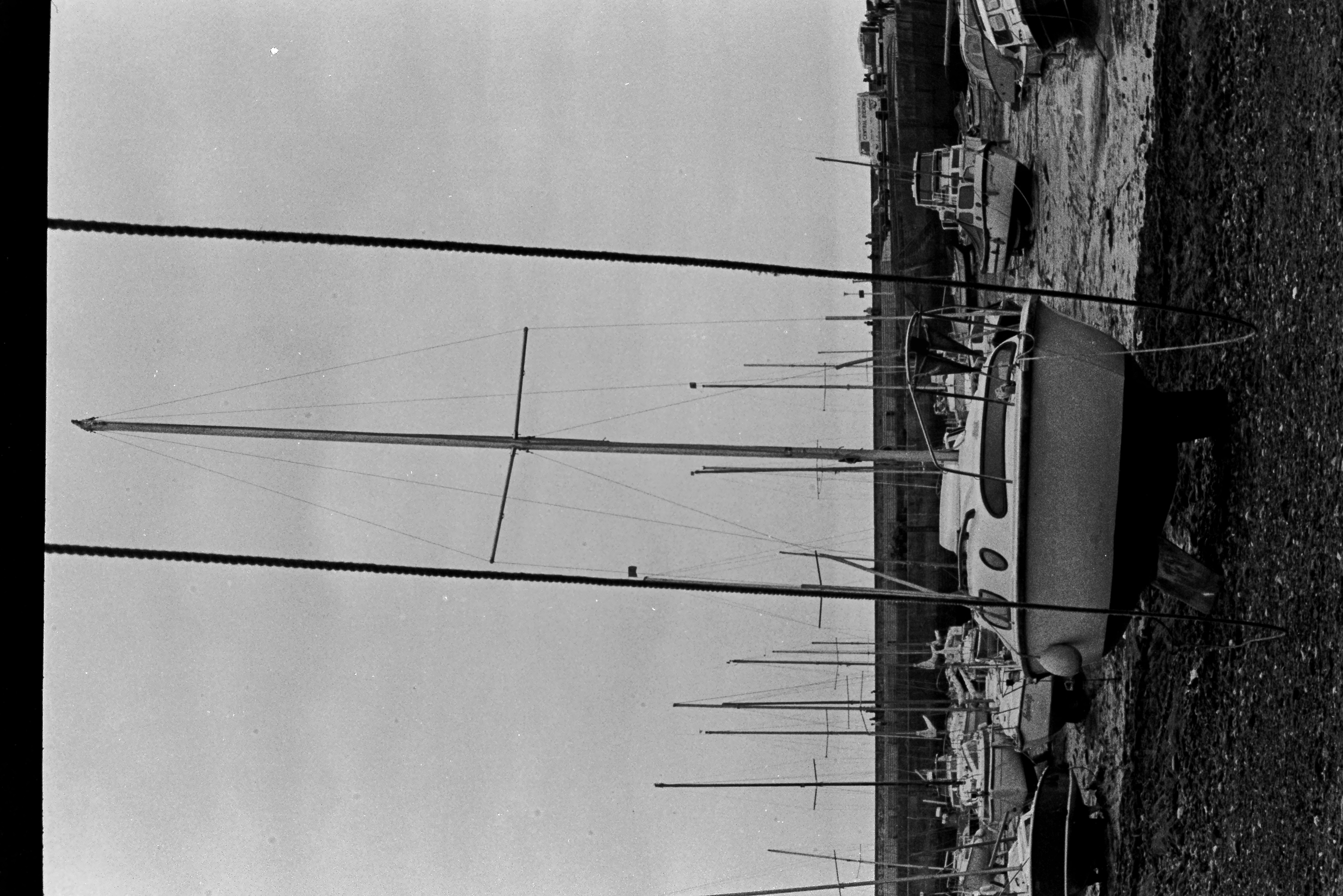 E0029266_IMAG0637.JPG   /guest/guest/Images/Saundersfoot/E0029266_IMAG0637.JPG