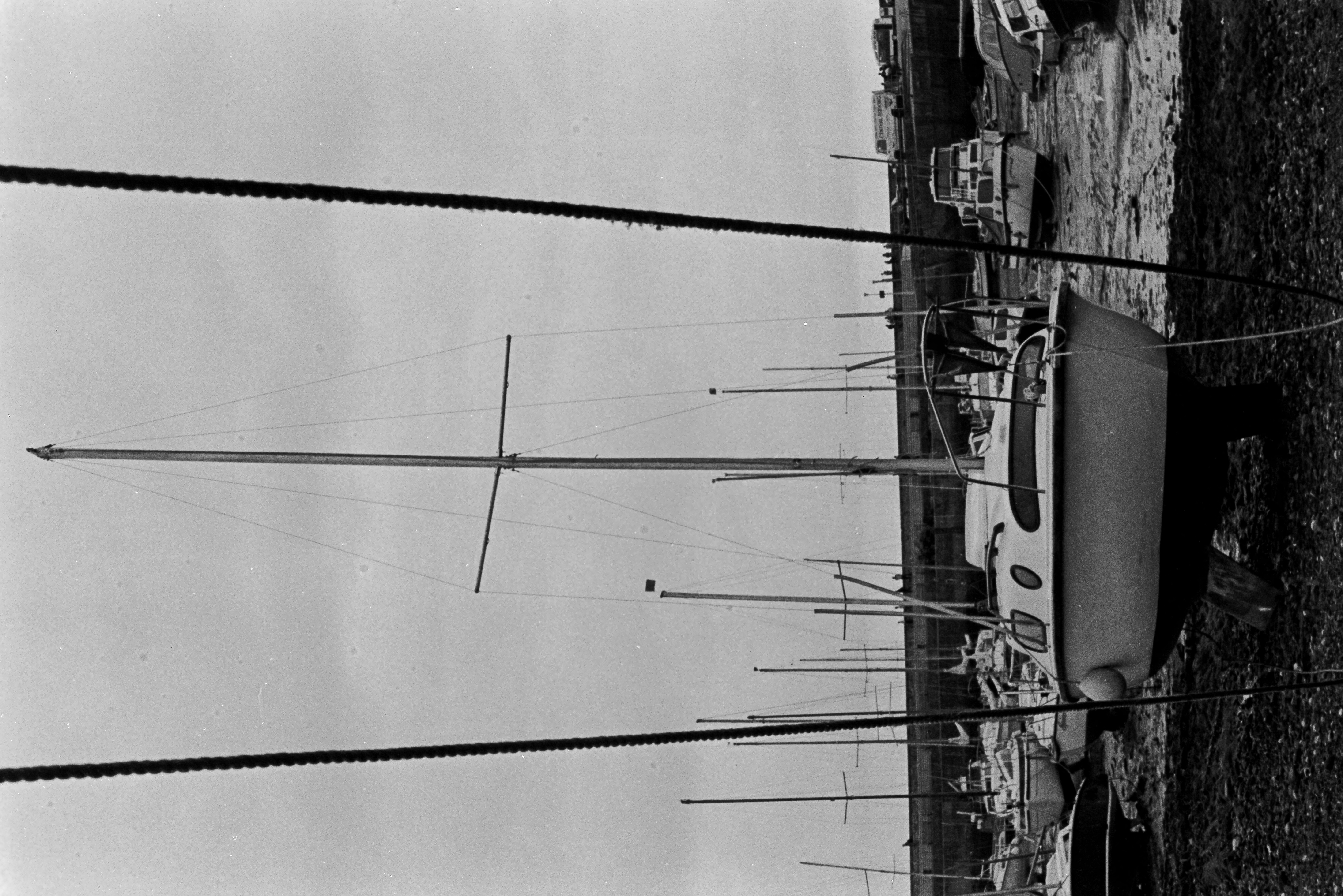 E0029267_IMAG0638.JPG   /guest/guest/Images/Saundersfoot/E0029267_IMAG0638.JPG