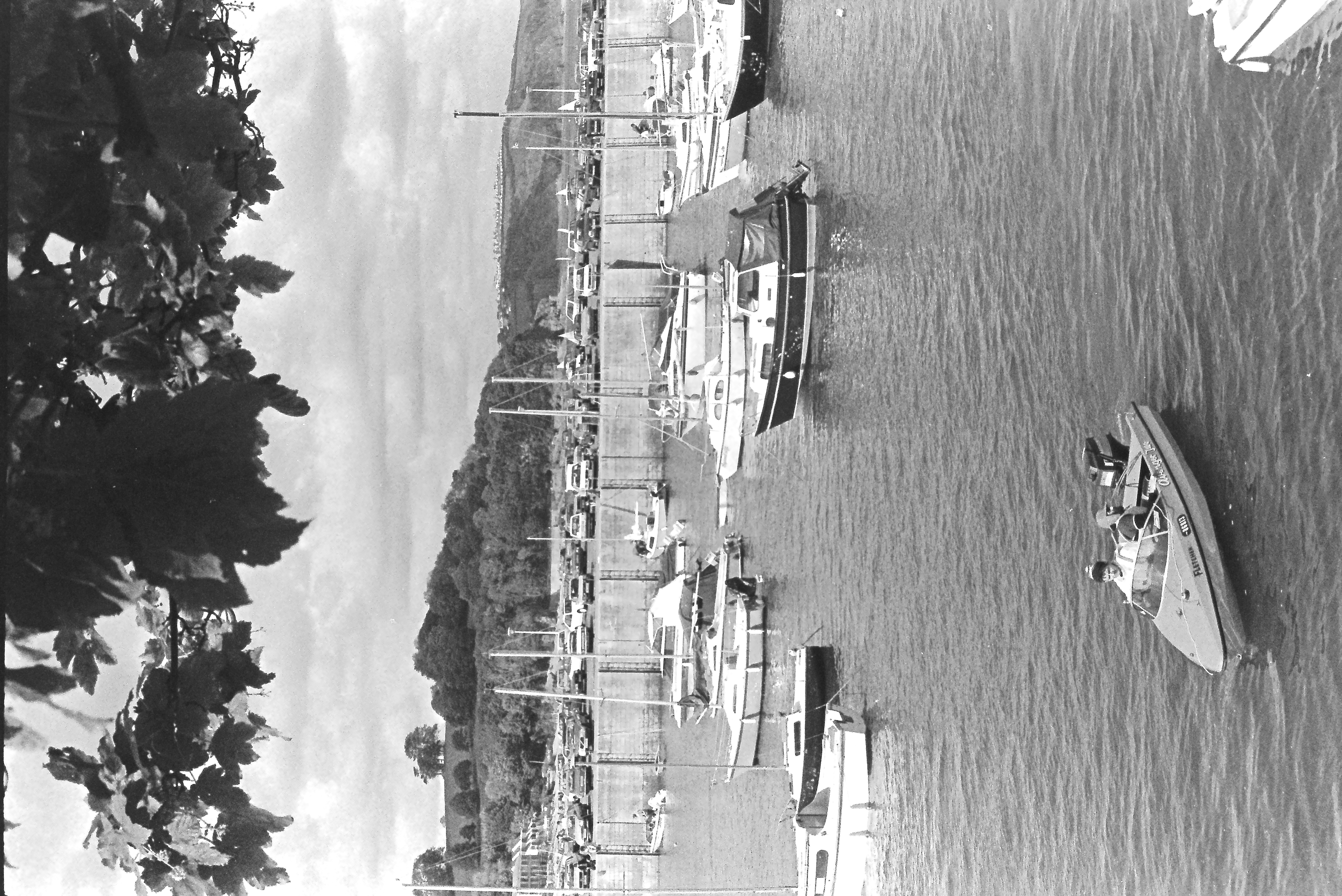 E0029271_IMAG0642.JPG   /guest/guest/Images/Saundersfoot/E0029271_IMAG0642.JPG