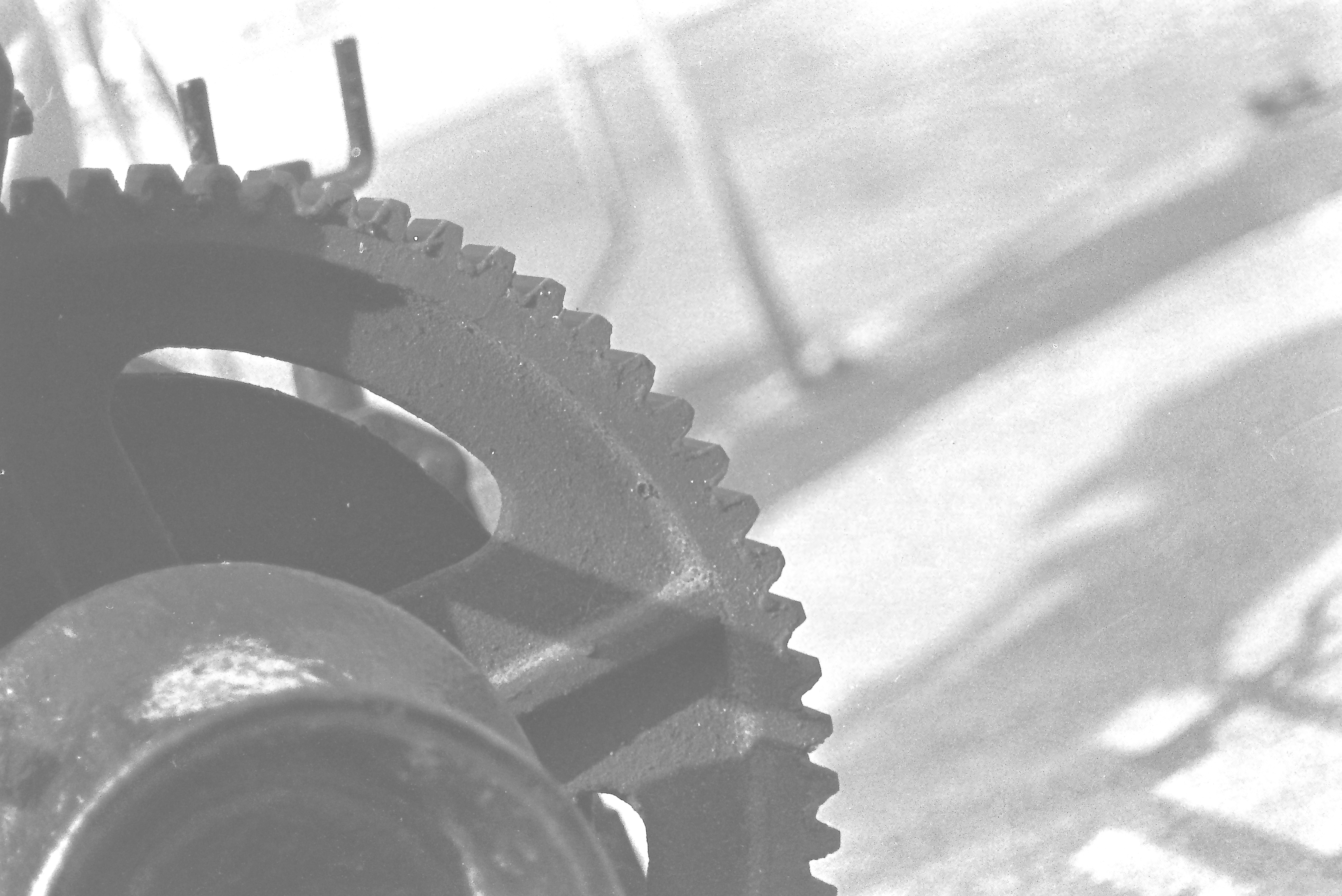 E0029273_IMAG0644.JPG   /guest/guest/Images/Saundersfoot/E0029273_IMAG0644.JPG