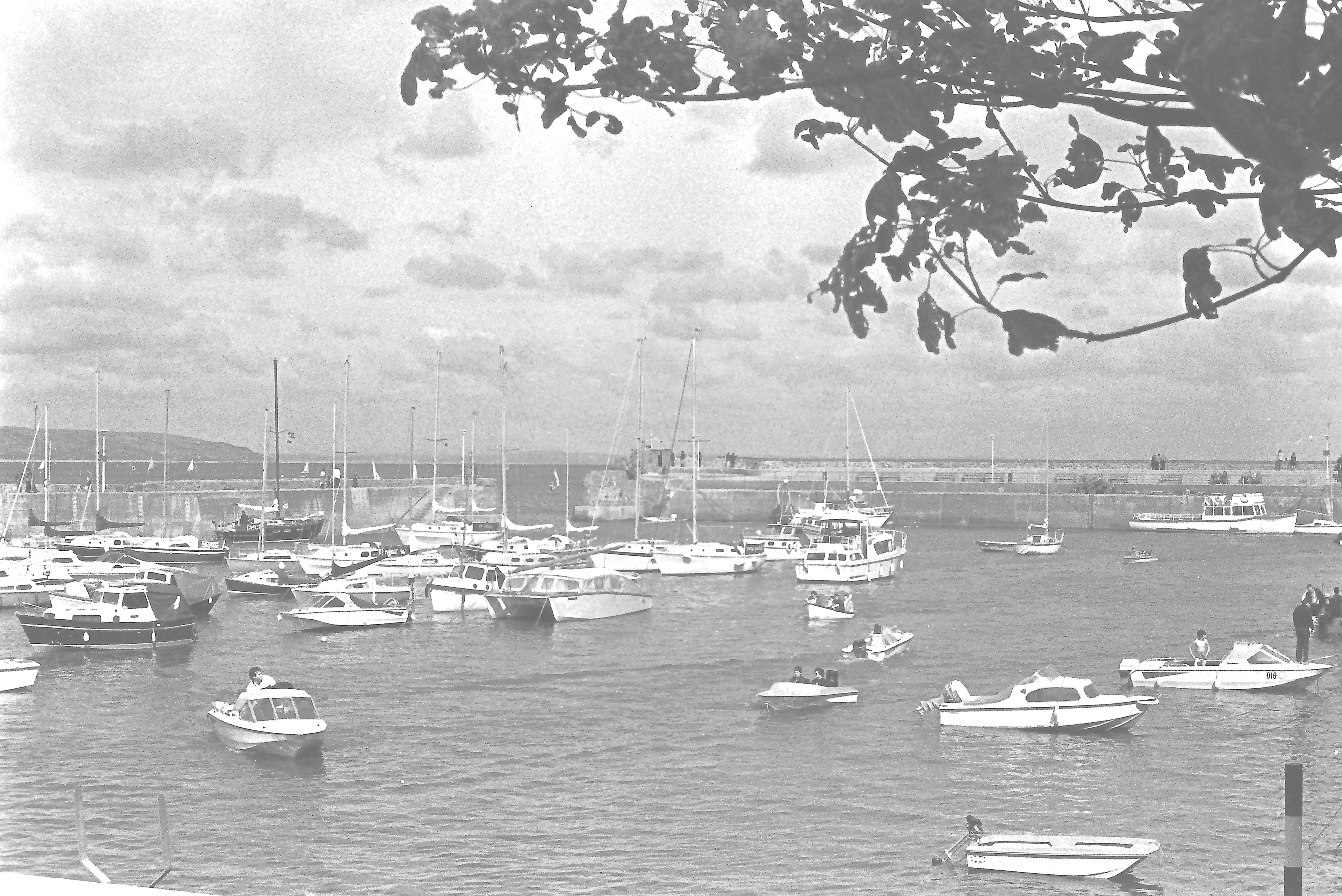 E0029285_IMAG0656.JPG   /guest/guest/Images/Saundersfoot/E0029285_IMAG0656.JPG