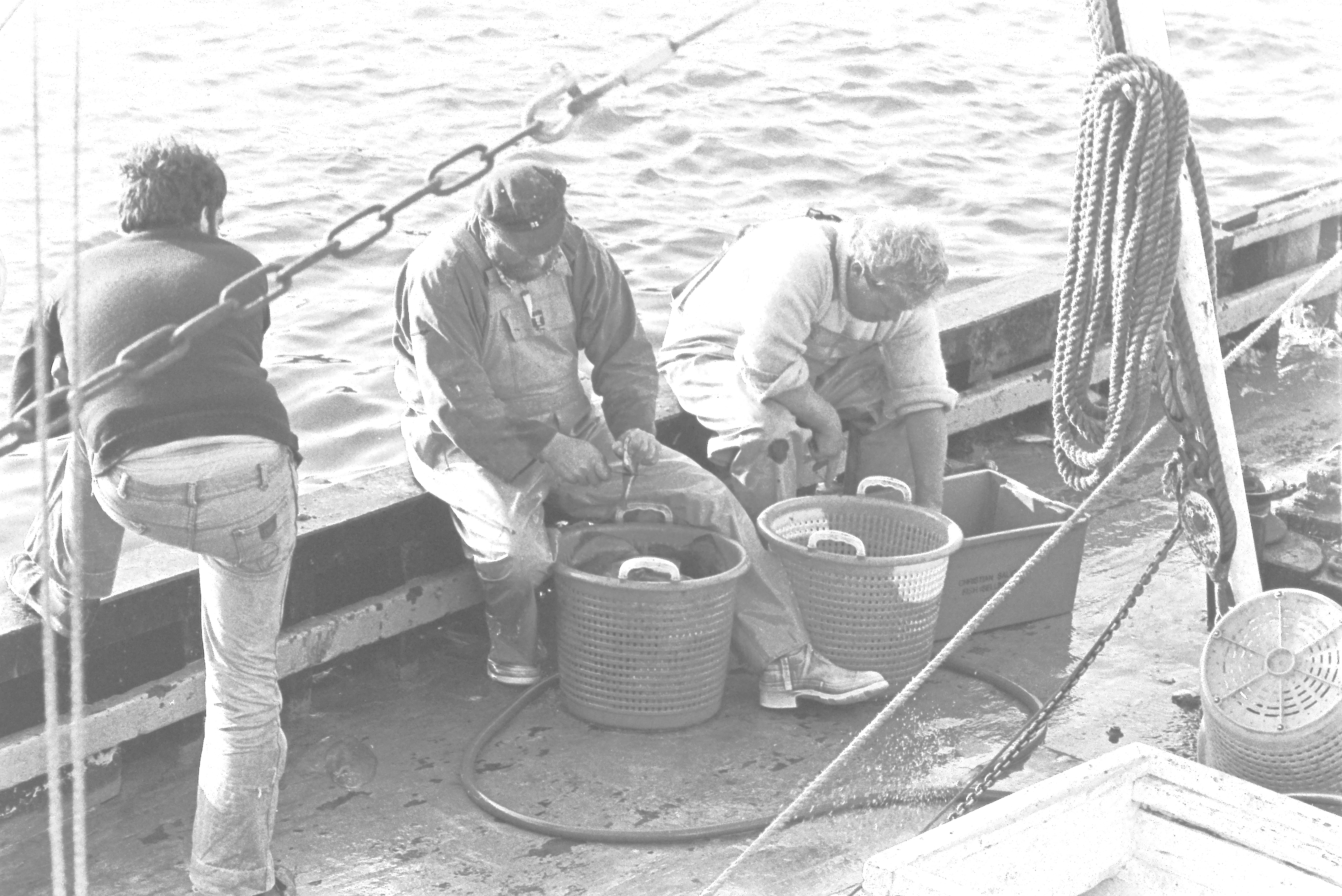 E0029289_IMAG0660.JPG   /guest/guest/Images/Saundersfoot/E0029289_IMAG0660.JPG