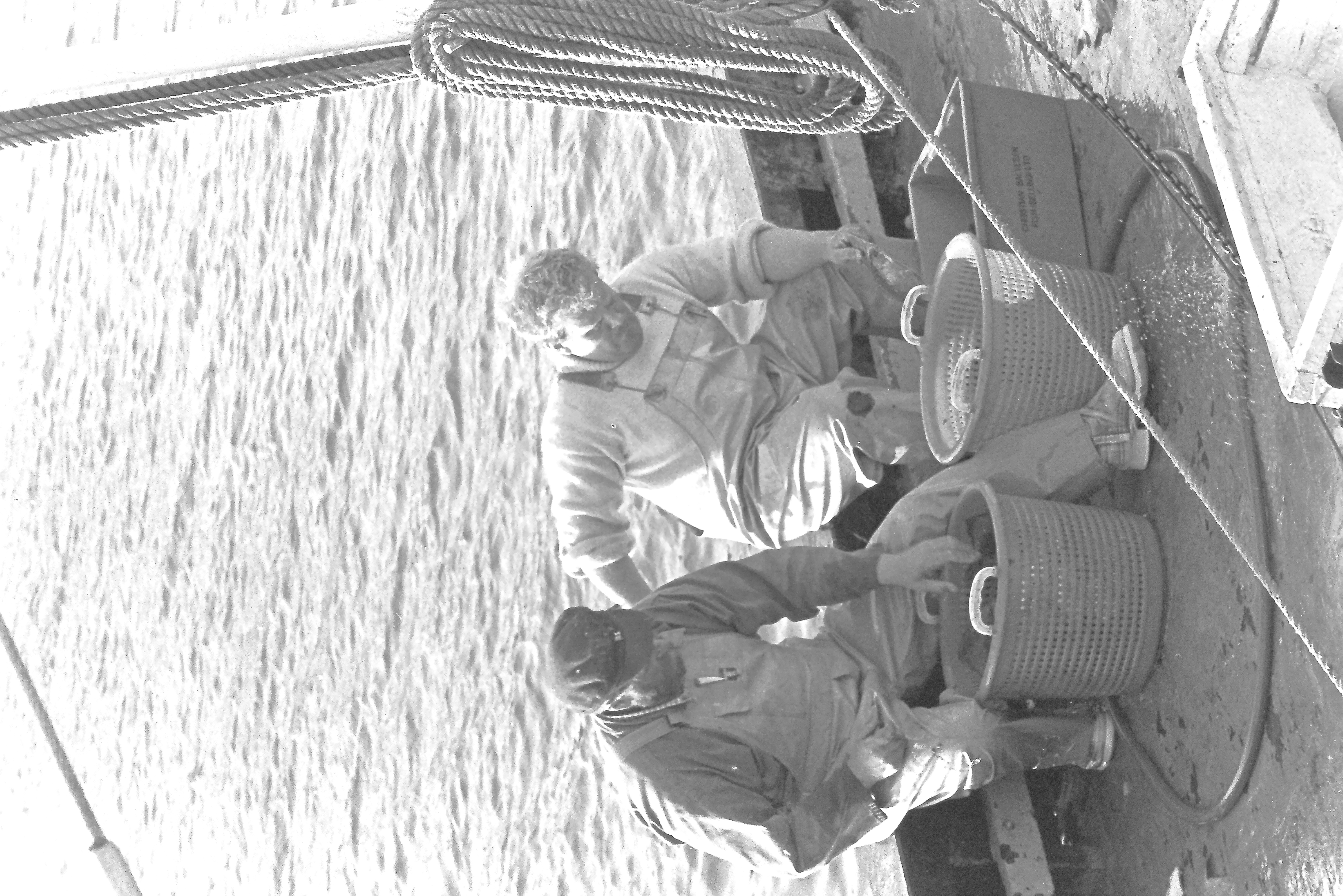 E0029291_IMAG0662.JPG   /guest/guest/Images/Saundersfoot/E0029291_IMAG0662.JPG