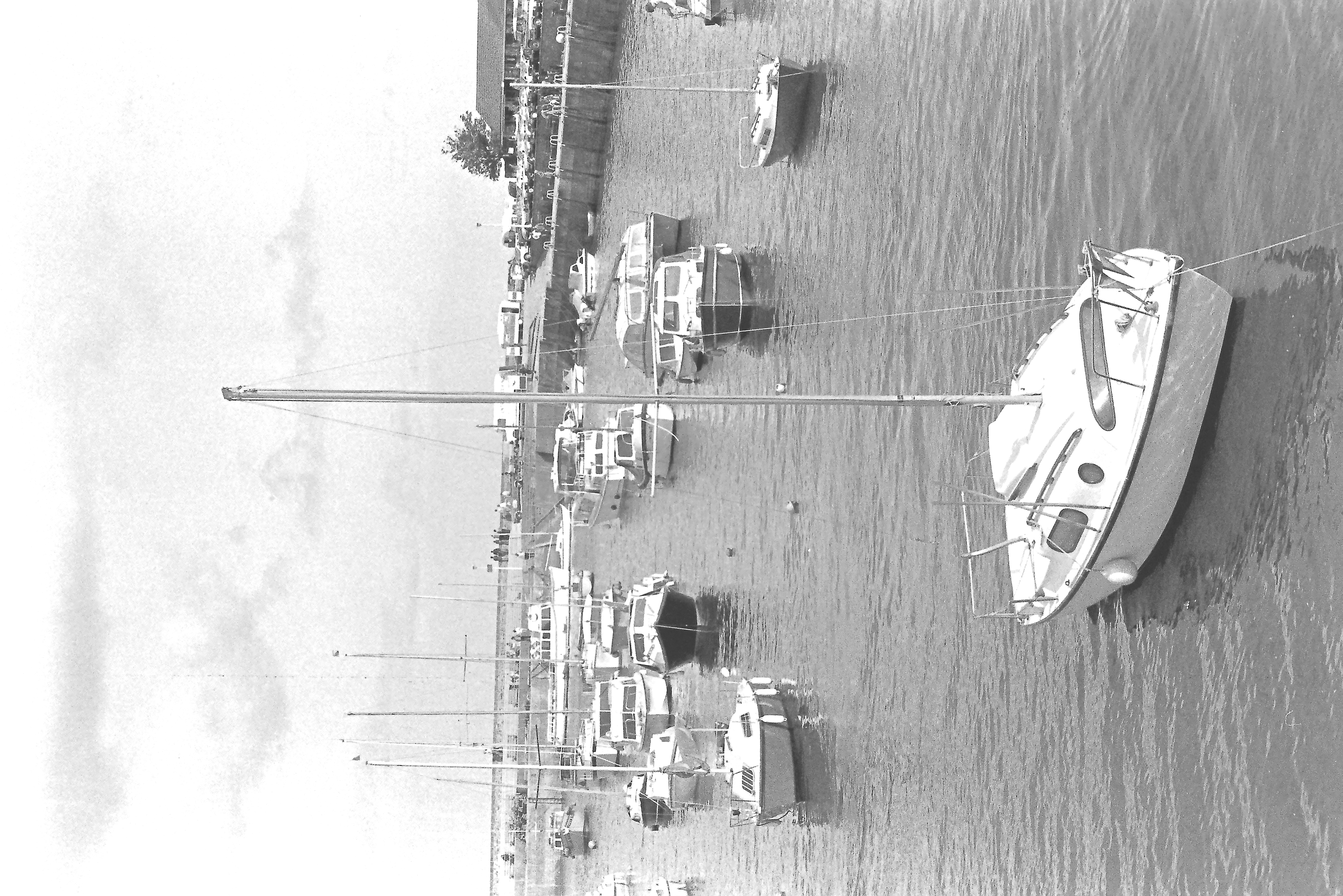 E0029294_IMAG0665.JPG   /guest/guest/Images/Saundersfoot/E0029294_IMAG0665.JPG