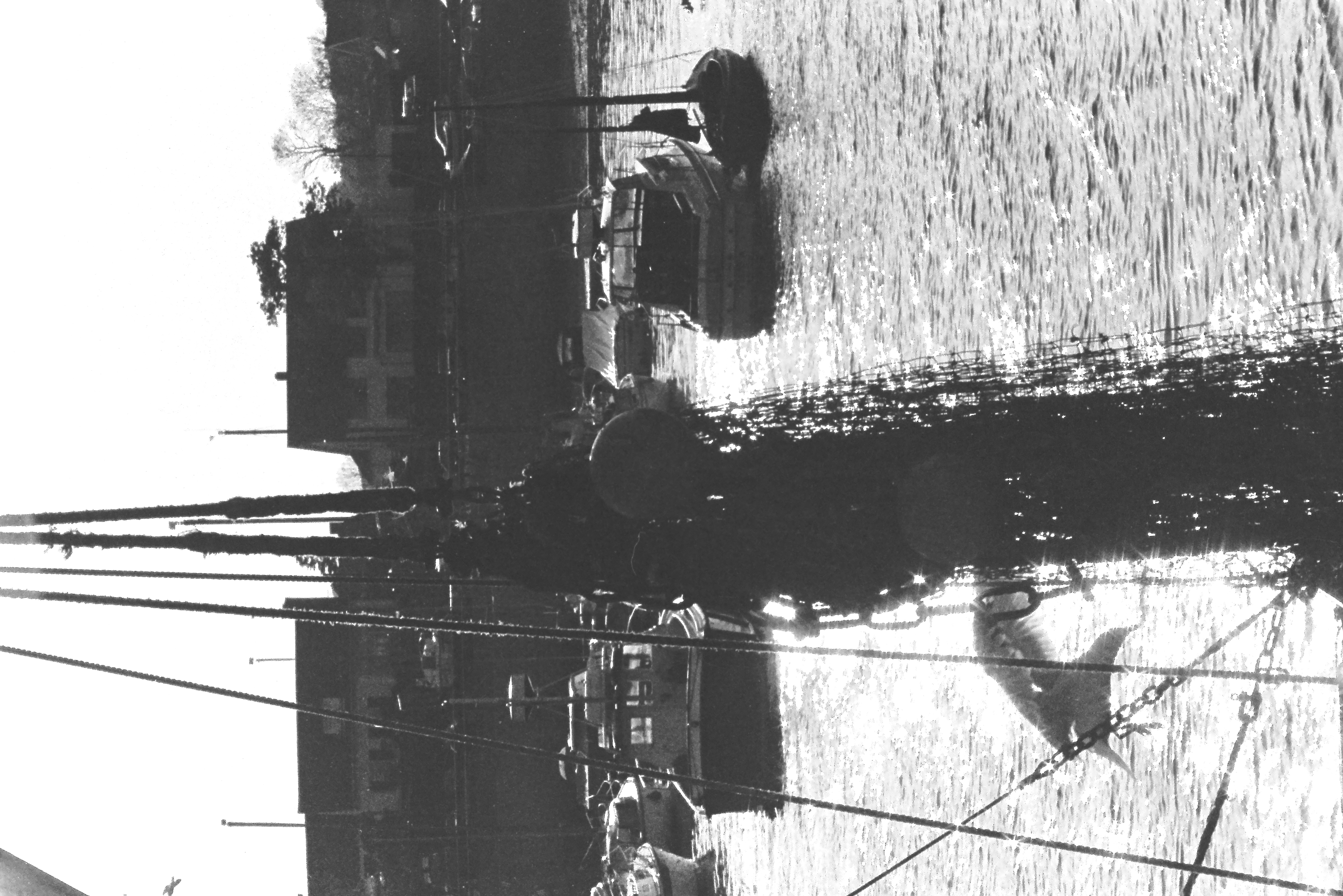 E0029301_IMAG0672.JPG   /guest/guest/Images/Saundersfoot/E0029301_IMAG0672.JPG