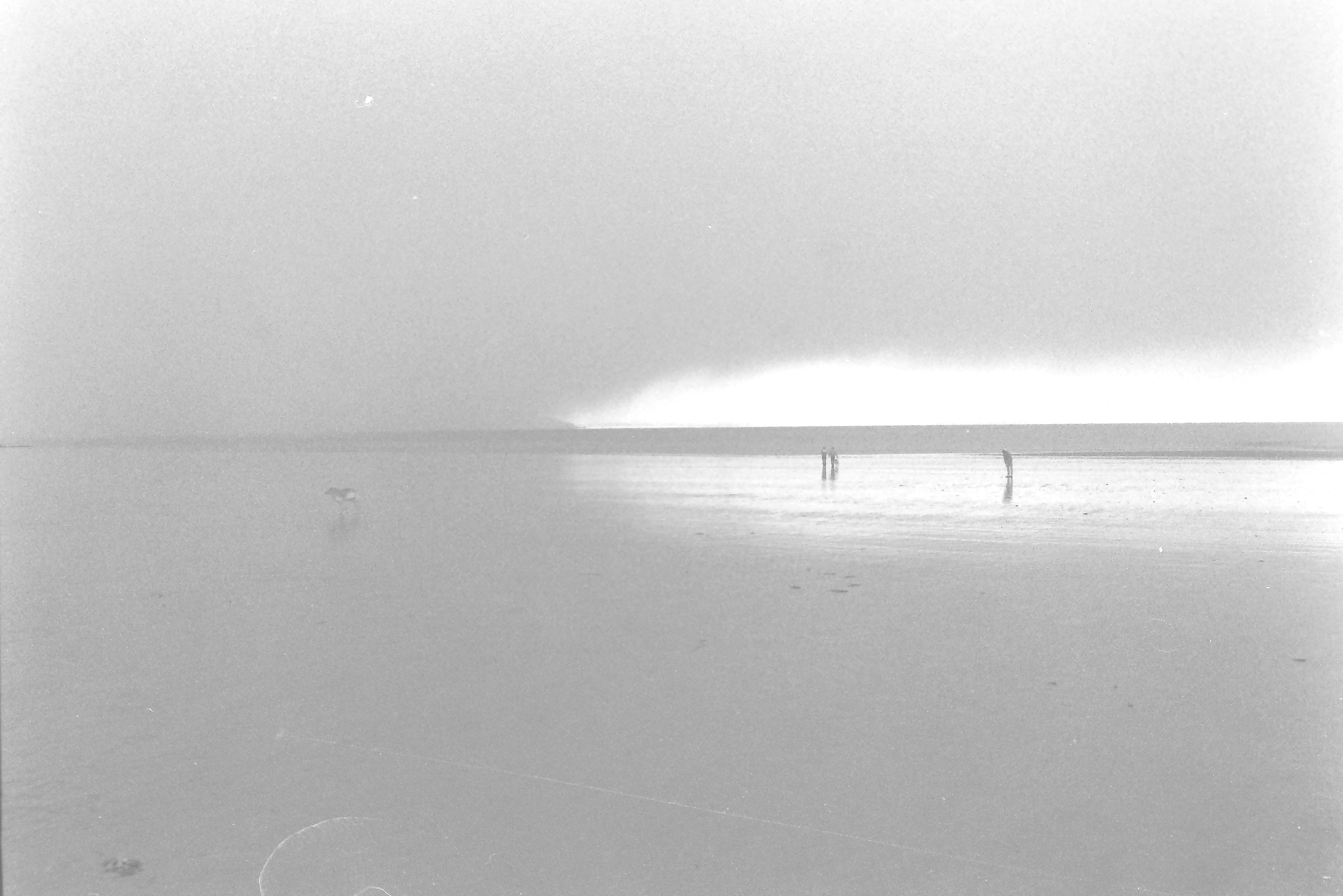 E0029349_IMAG0720.JPG   /guest/guest/Images/Saundersfoot/E0029349_IMAG0720.JPG