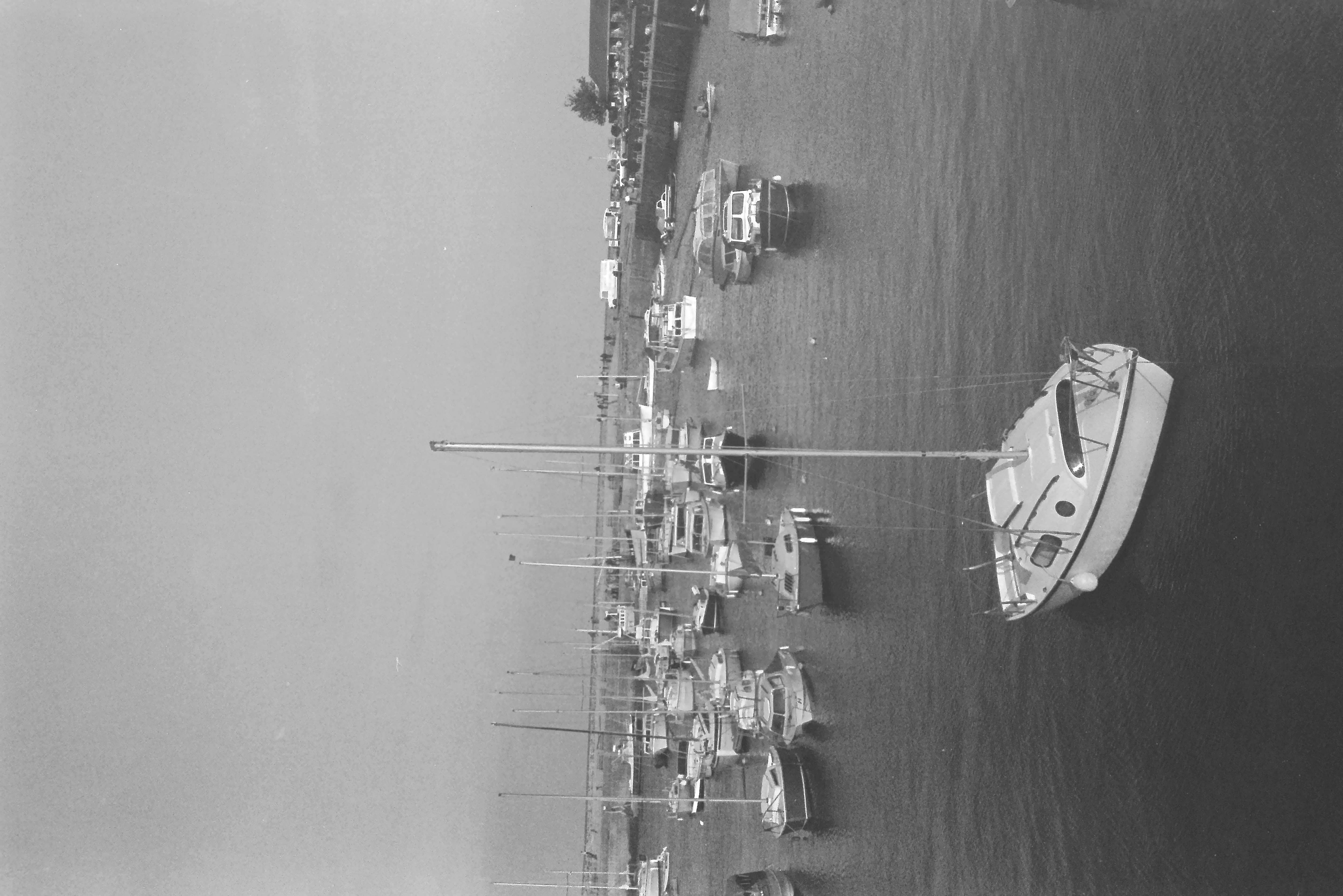 E0029532_IMAG0903.JPG   /guest/guest/Images/Saundersfoot/E0029532_IMAG0903.JPG