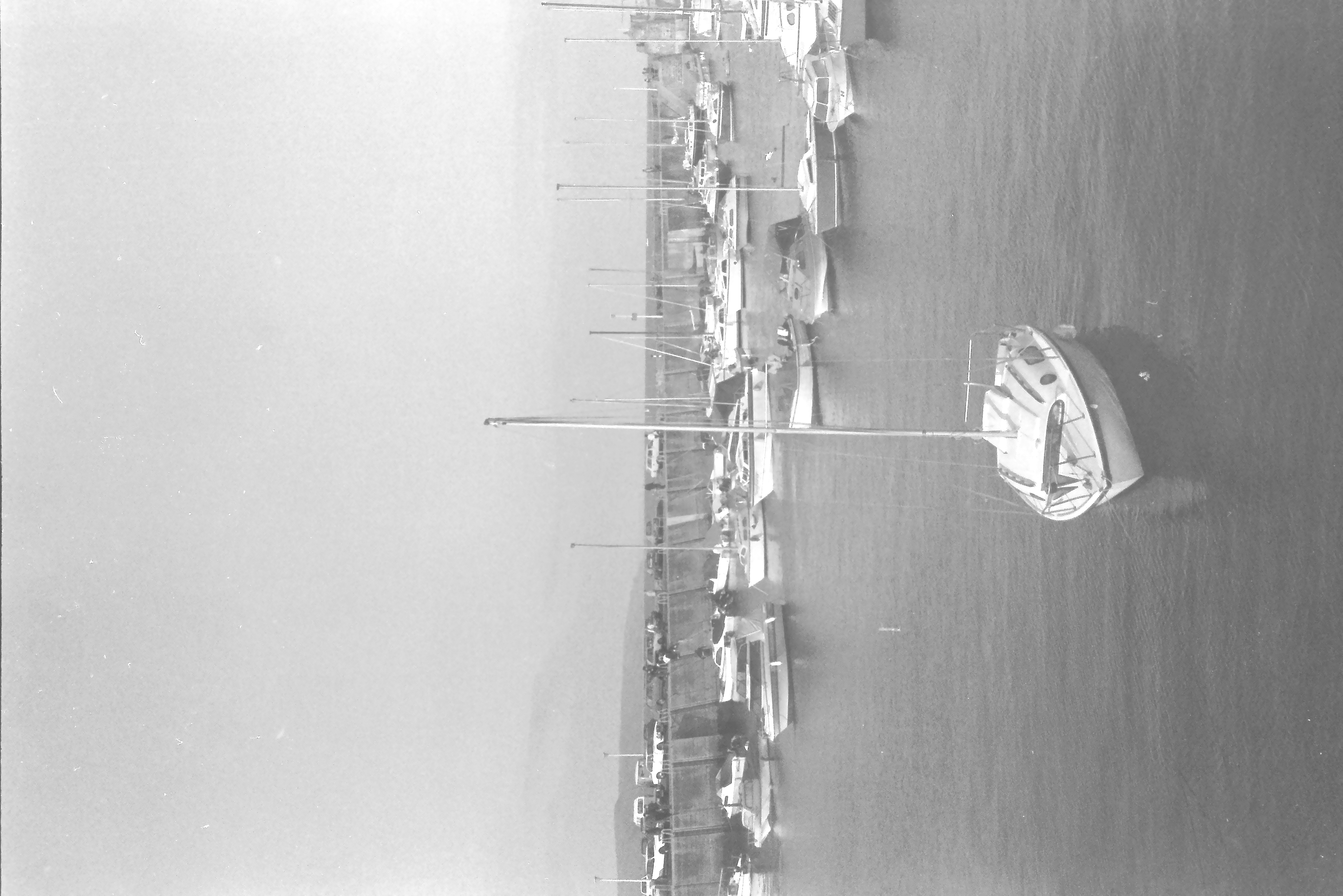 E0029533_IMAG0904.JPG   /guest/guest/Images/Saundersfoot/E0029533_IMAG0904.JPG