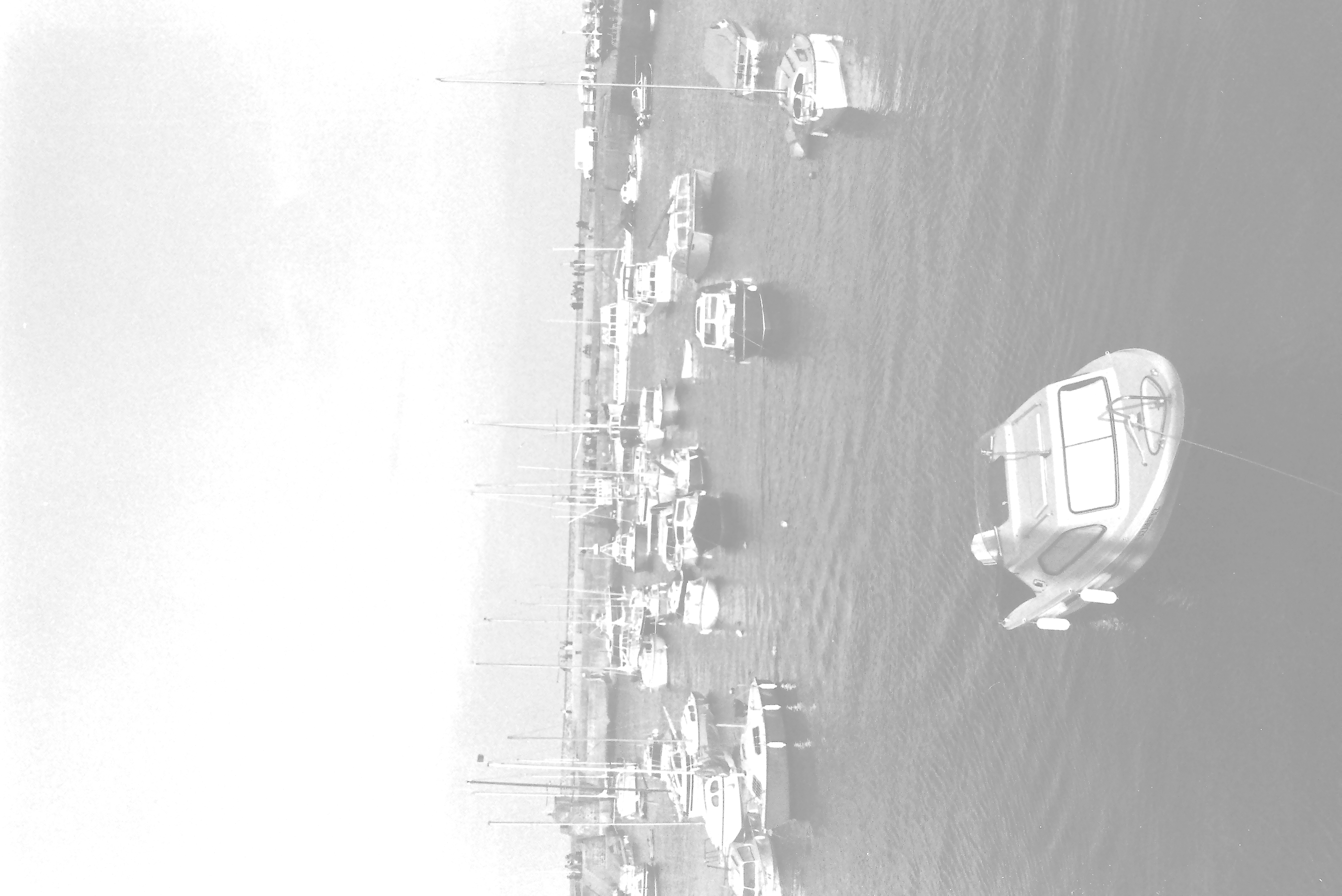 E0029534_IMAG0905.JPG   /guest/guest/Images/Saundersfoot/E0029534_IMAG0905.JPG