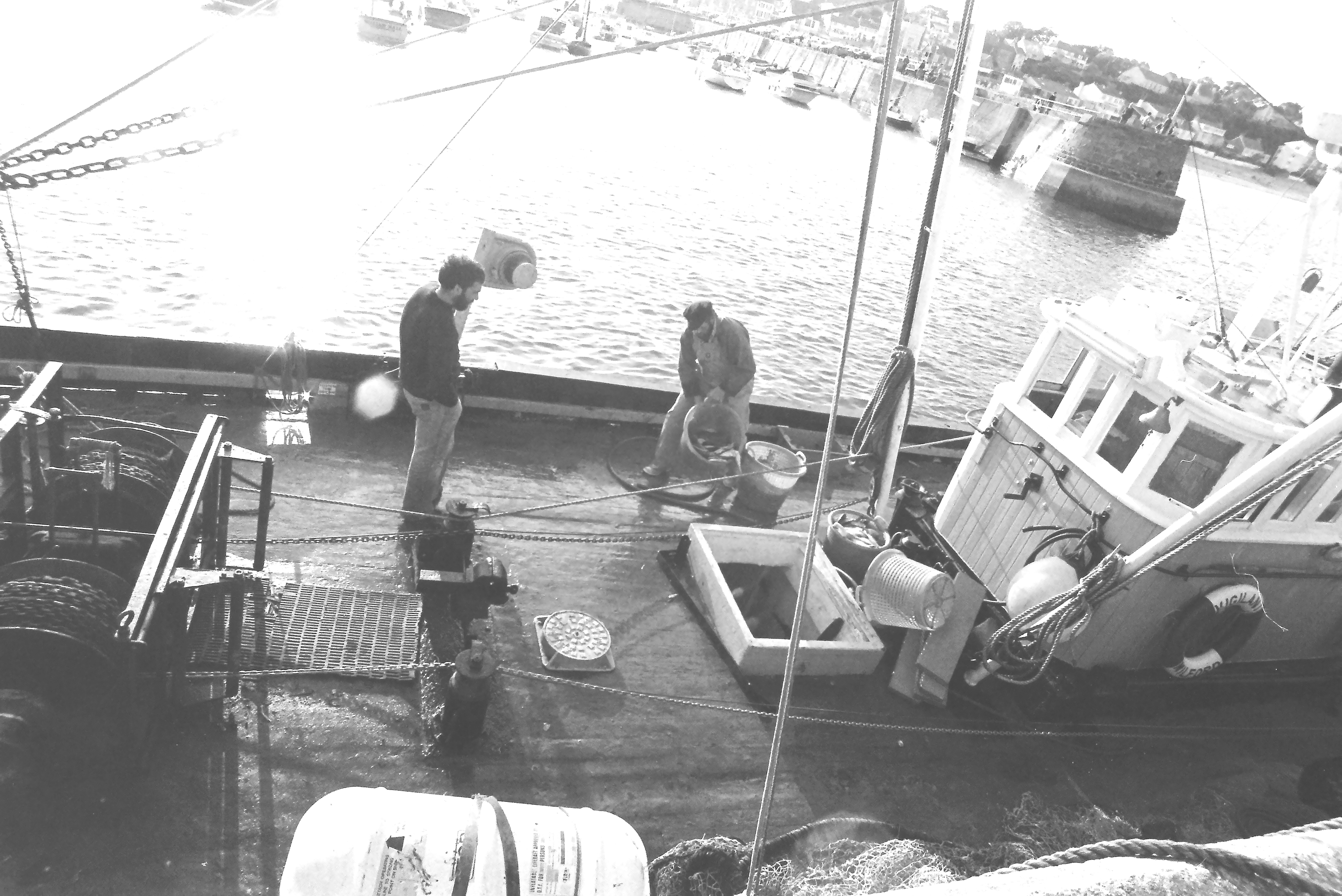 E0029537_IMAG0908.JPG   /guest/guest/Images/Saundersfoot/E0029537_IMAG0908.JPG