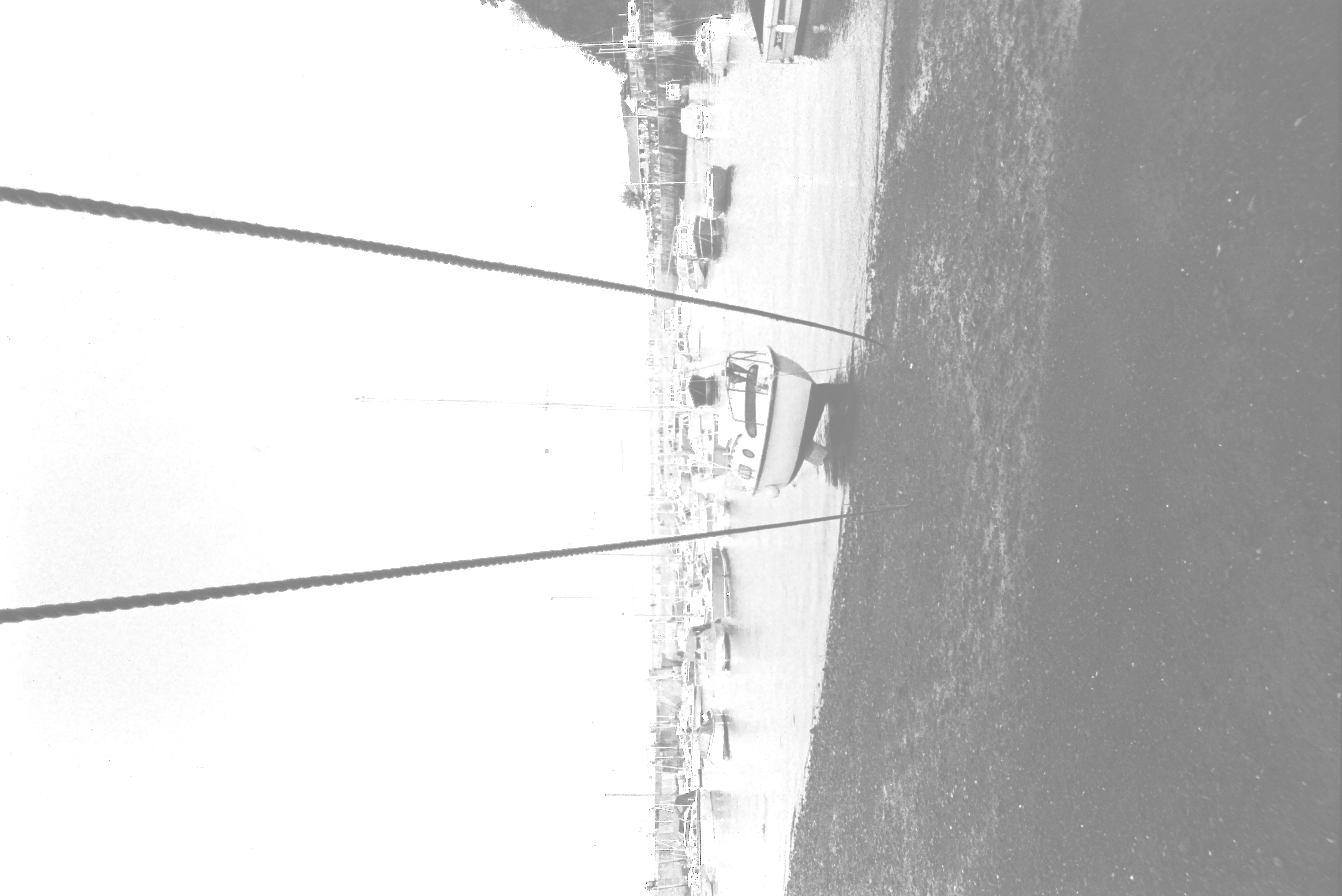 E0029538_IMAG0909.JPG   /guest/guest/Images/Saundersfoot/E0029538_IMAG0909.JPG