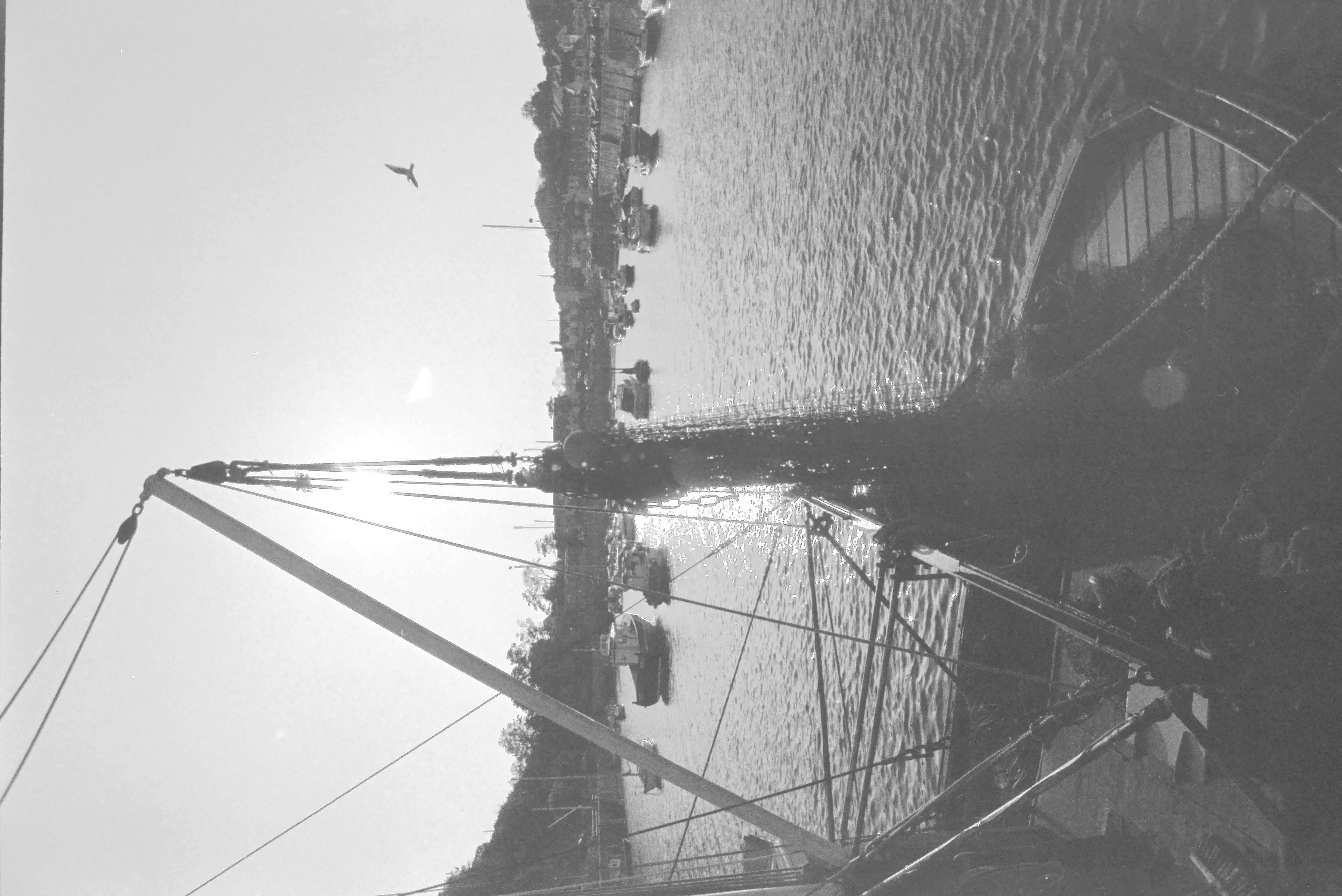 E0029551_IMAG0922.JPG   /guest/guest/Images/Saundersfoot/E0029551_IMAG0922.JPG