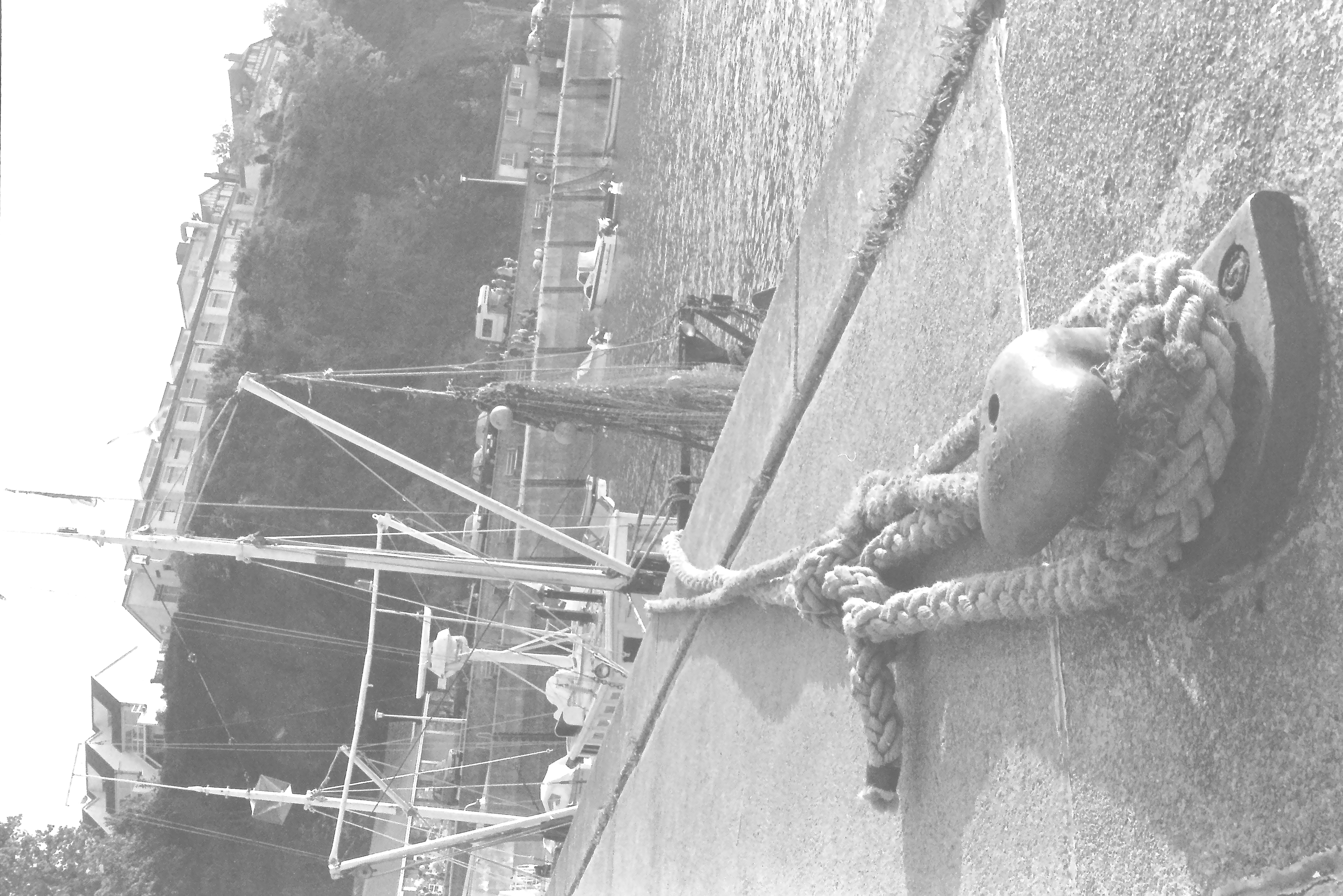 E0029553_IMAG0924.JPG   /guest/guest/Images/Saundersfoot/E0029553_IMAG0924.JPG