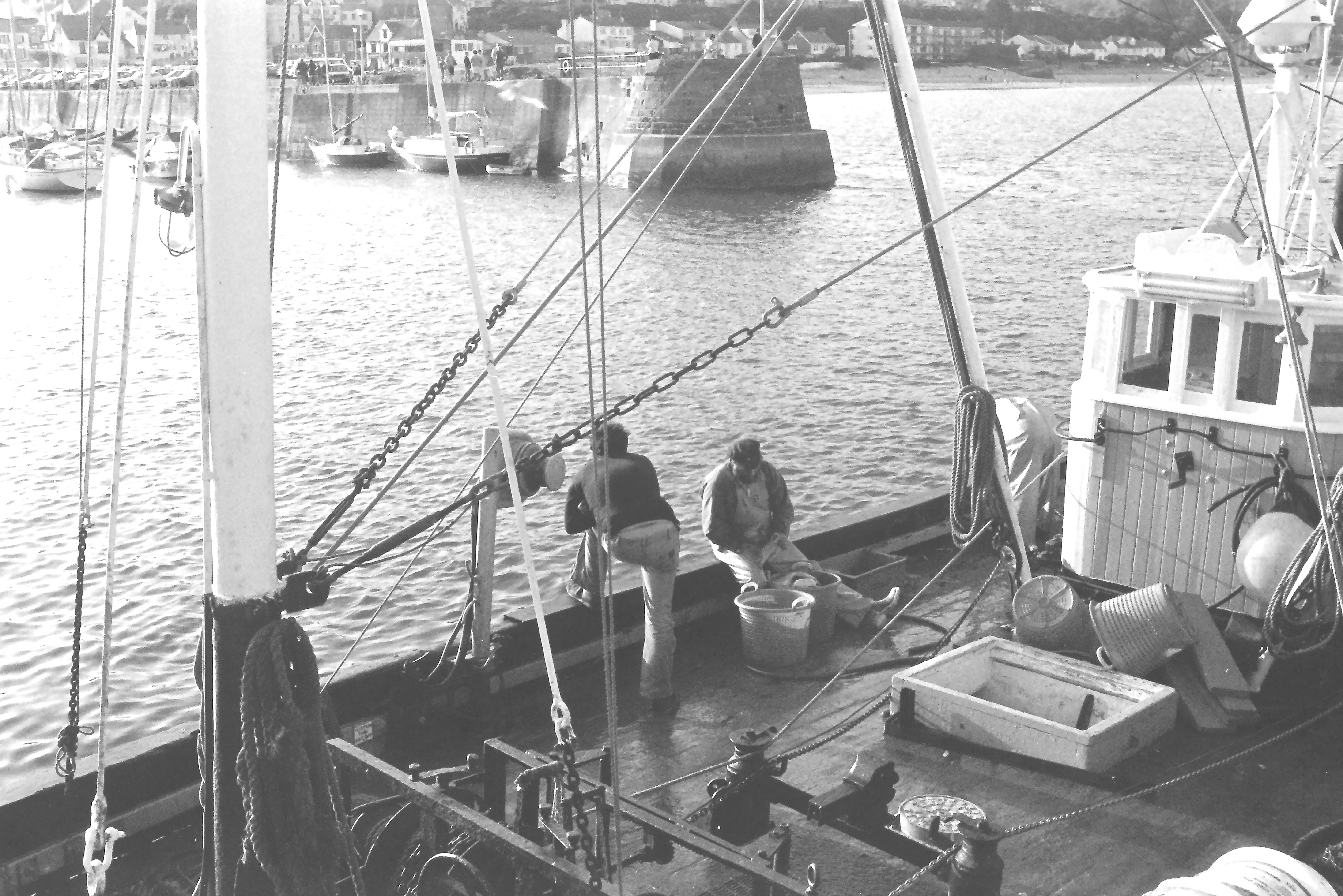 E0029555_IMAG0926.JPG   /guest/guest/Images/Saundersfoot/E0029555_IMAG0926.JPG