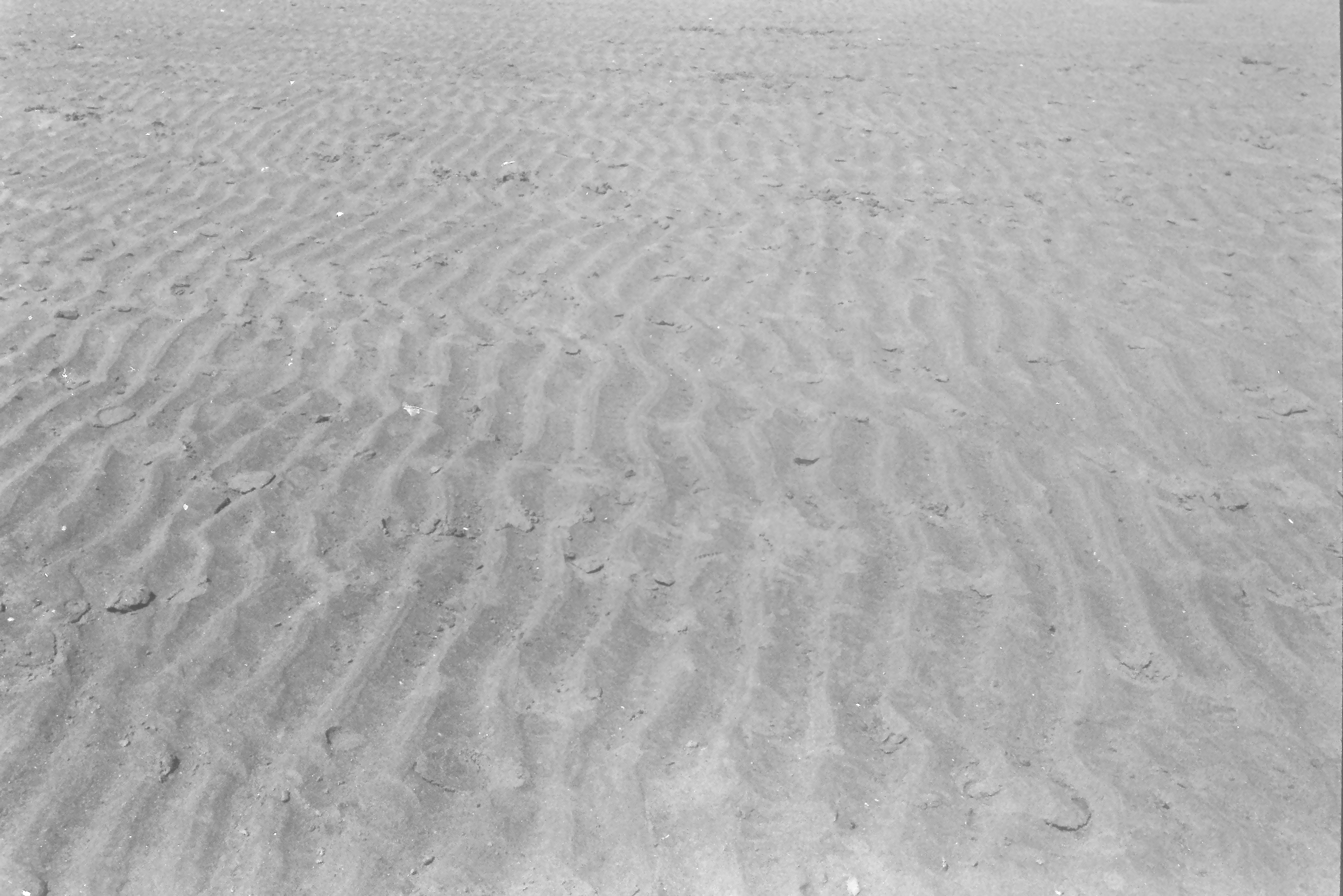 E0029557_IMAG0928.JPG   /guest/guest/Images/Saundersfoot/E0029557_IMAG0928.JPG