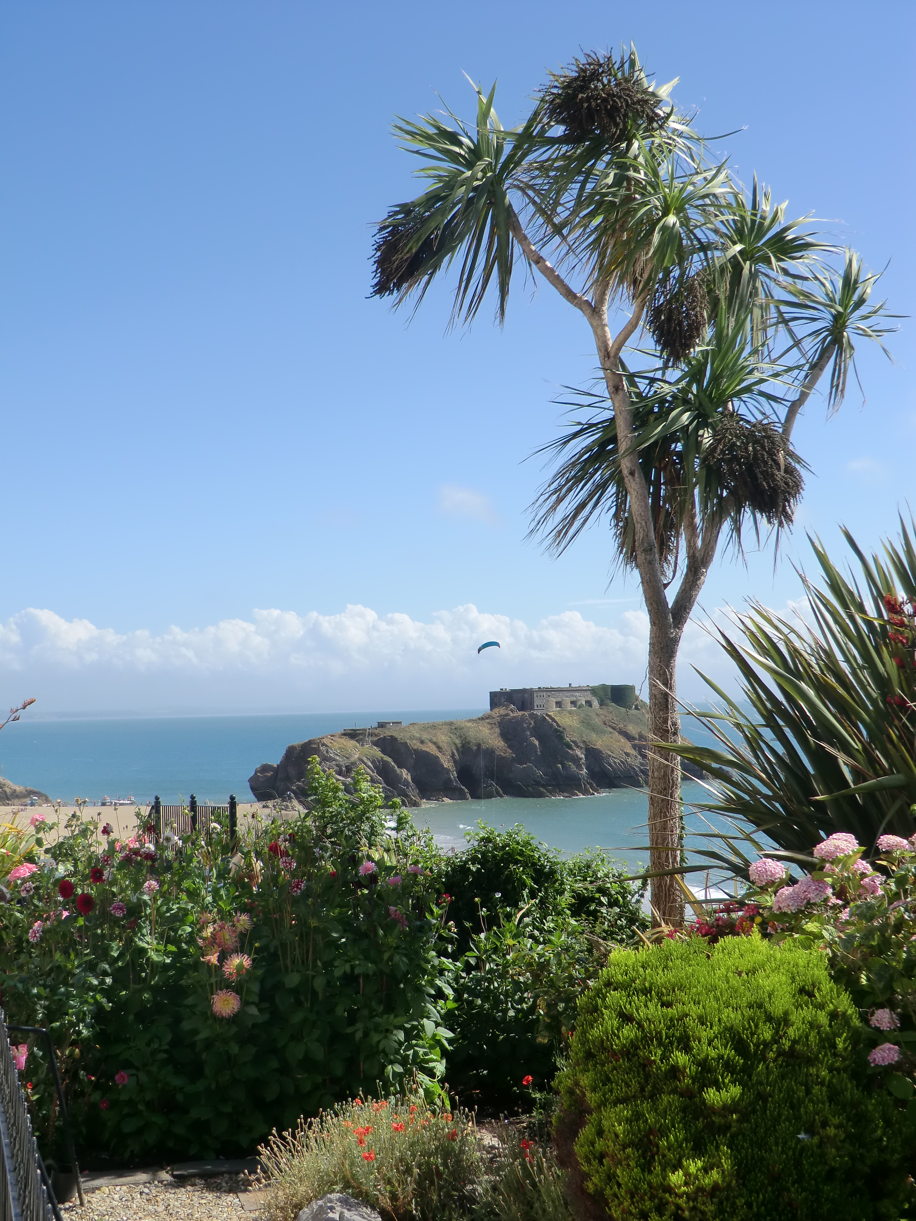 E0010529_CIMG1619.JPG   /guest/guest/Images/Tenby/E0010529_CIMG1619.JPG