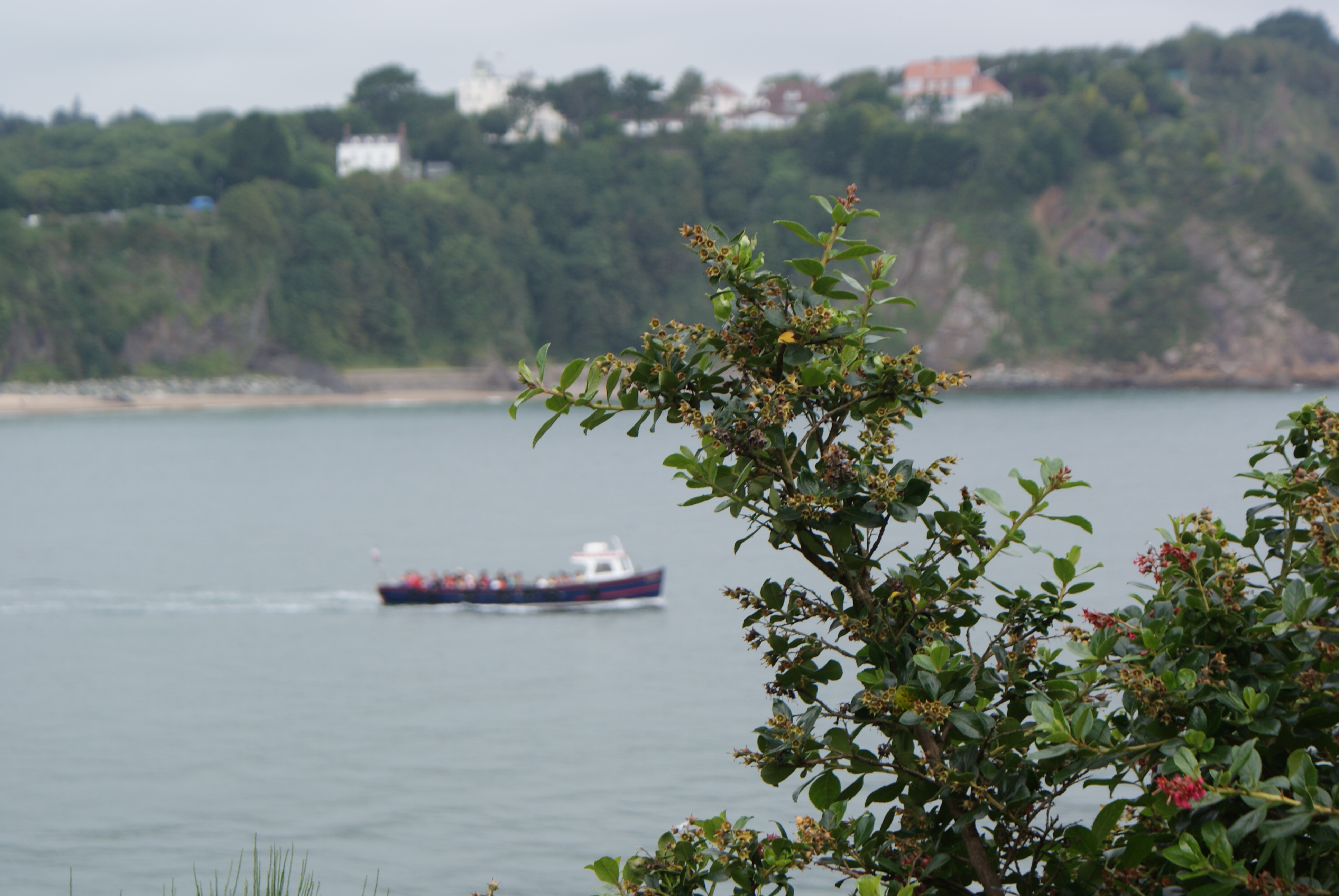 E0011046_DSC03877.JPG   /guest/guest/Images/Tenby/E0011046_DSC03877.JPG