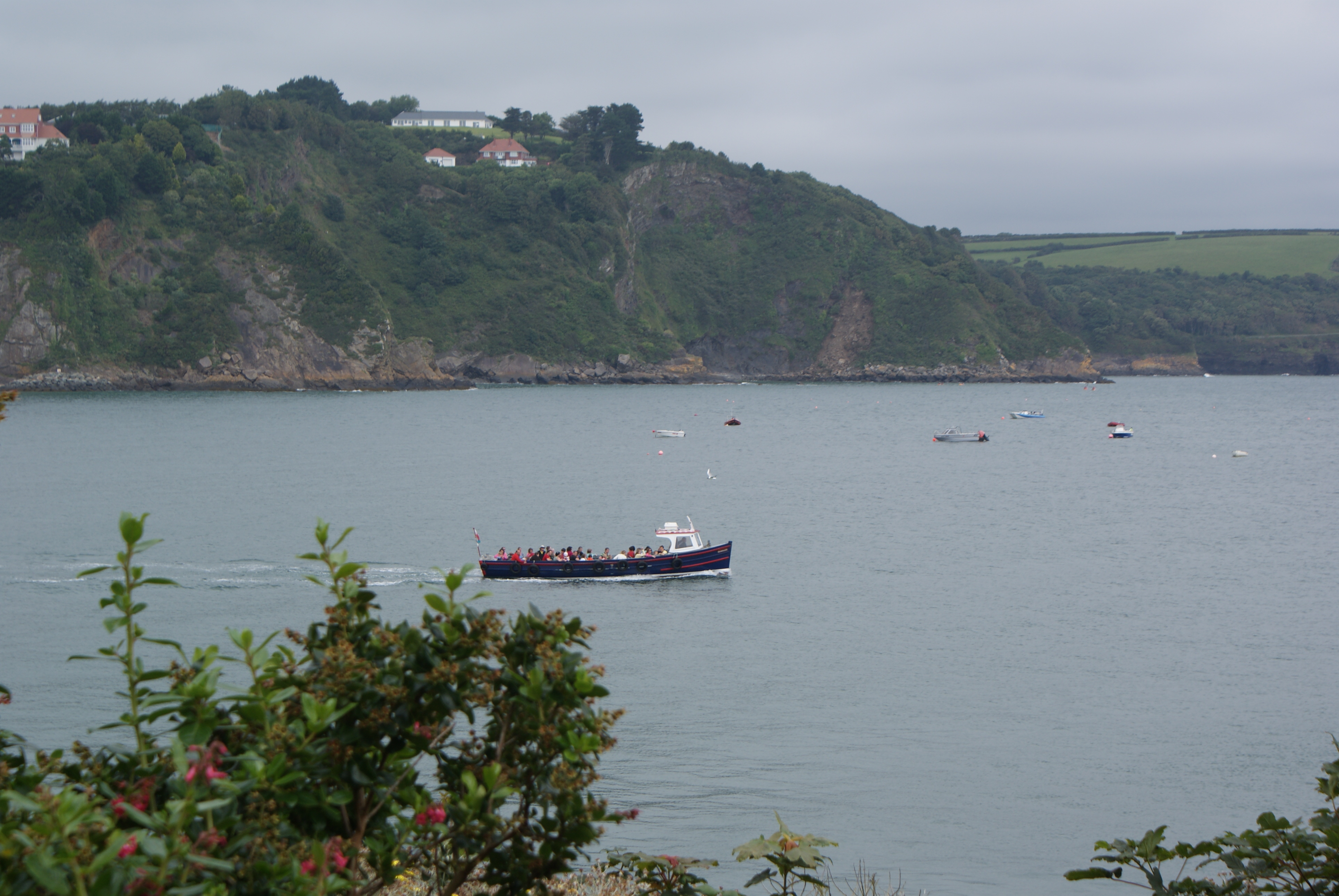 E0011047_DSC03878.JPG   /guest/guest/Images/Tenby/E0011047_DSC03878.JPG