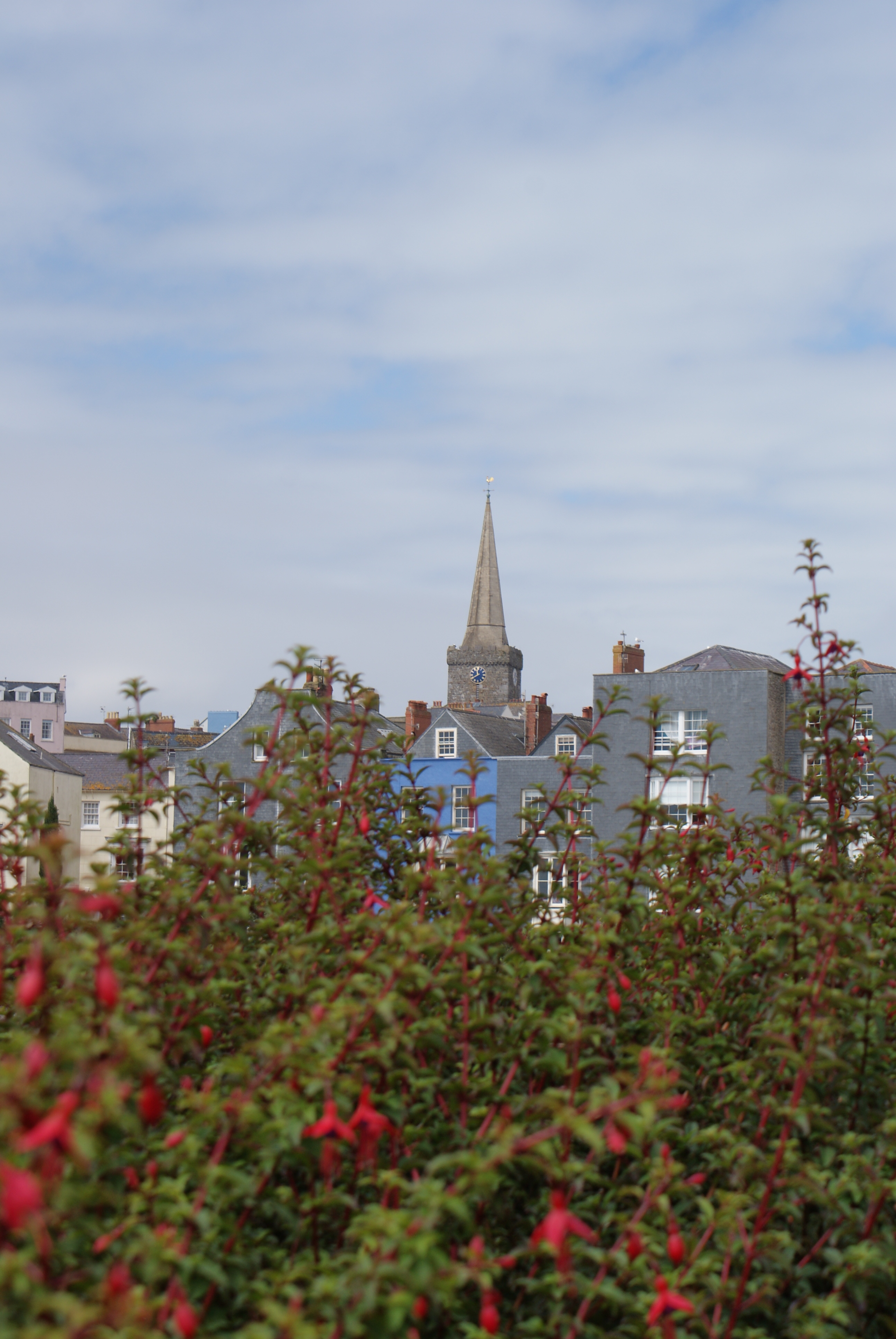 E0011069_DSC03900.JPG   /guest/guest/Images/Tenby/E0011069_DSC03900.JPG