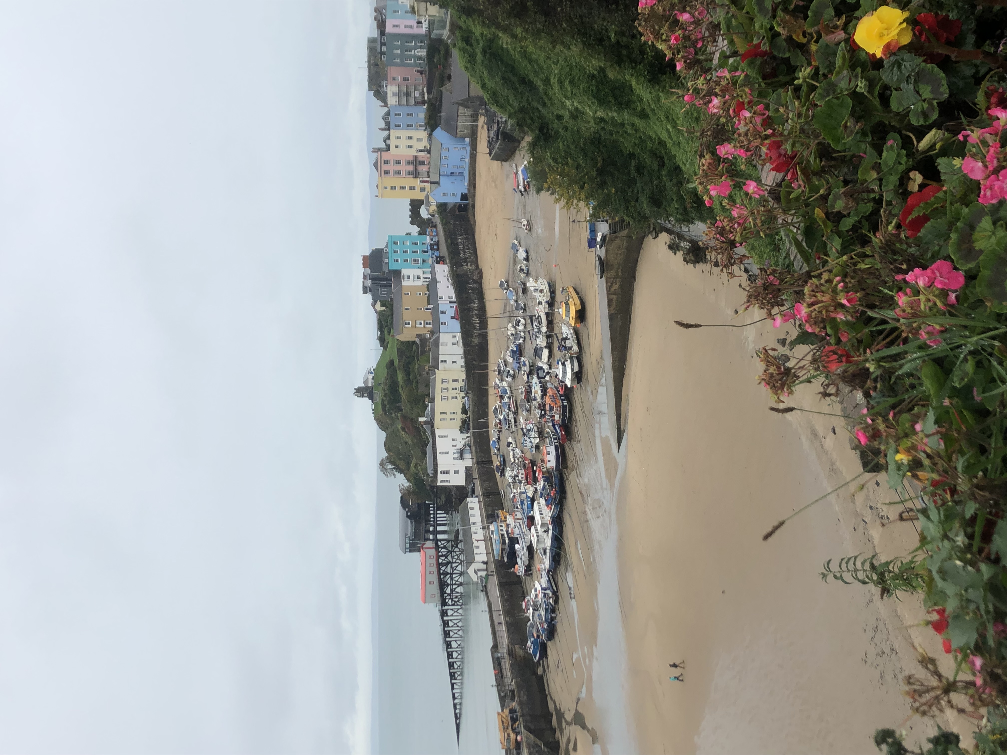 E0033320_IMG_6301.JPG   /guest/guest/Images/Tenby/E0033320_IMG_6301.JPG