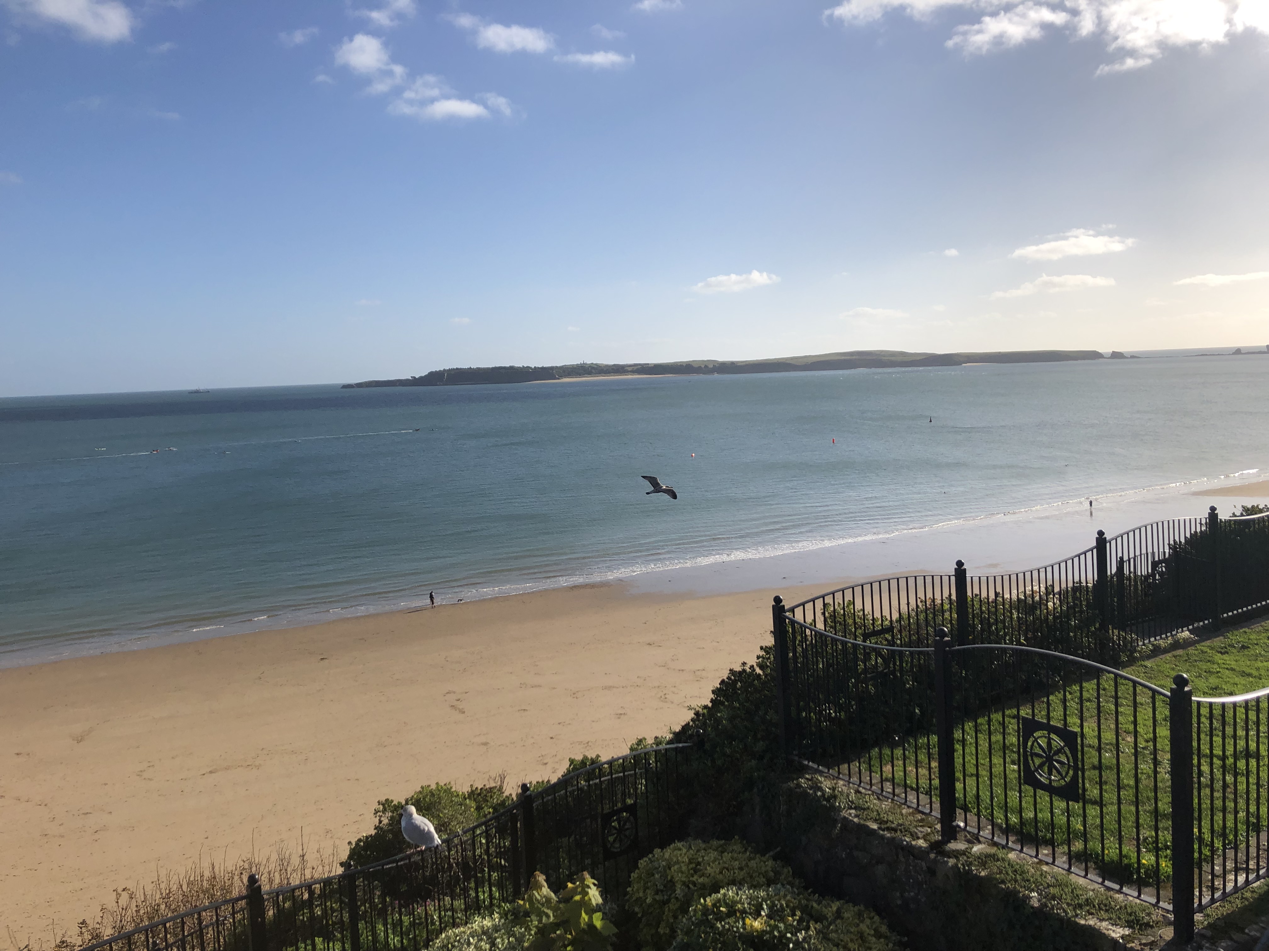 E0033455_IMG_6465.JPG   /guest/guest/Images/Tenby/E0033455_IMG_6465.JPG