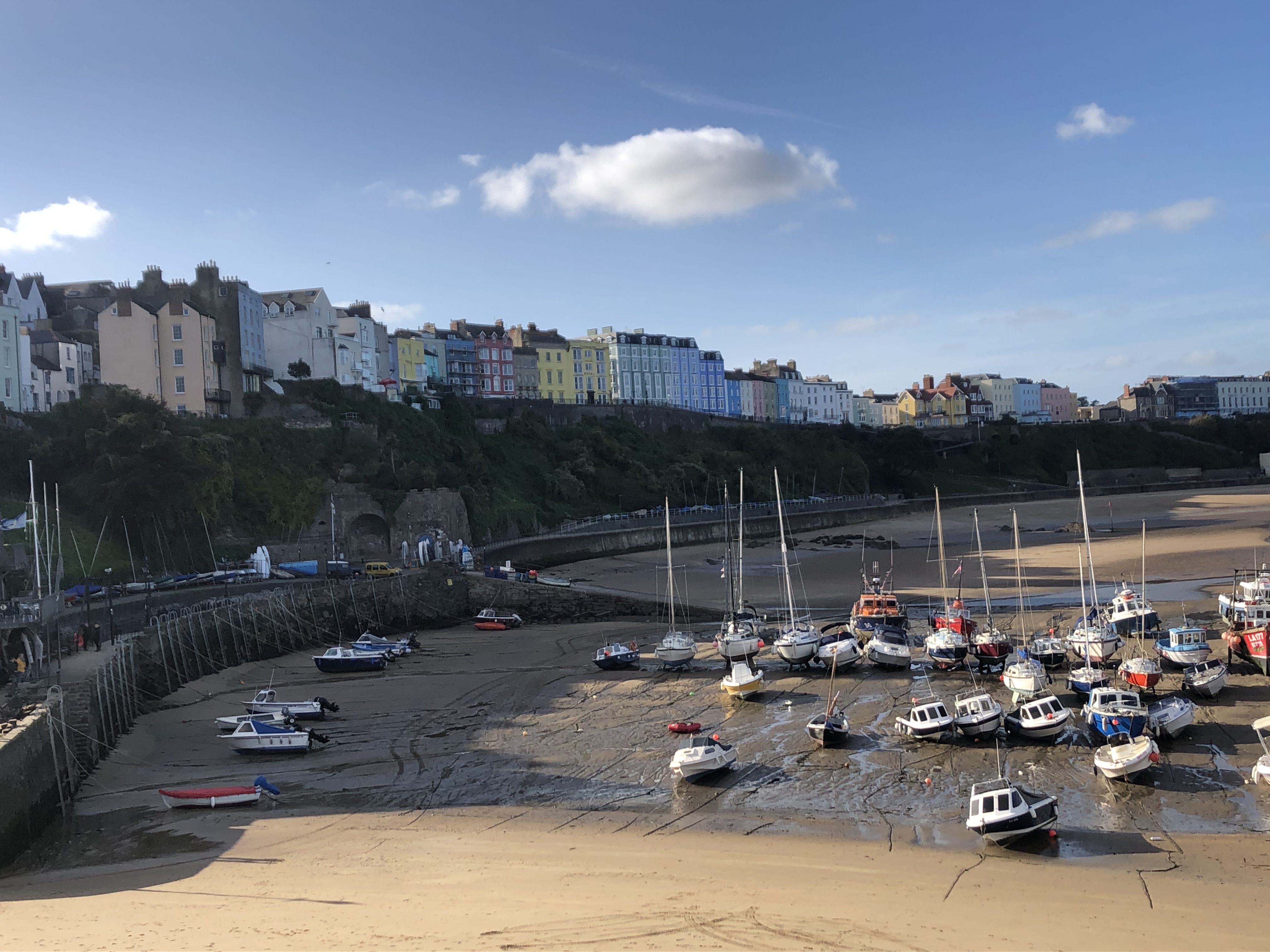 E0033471_IMG_6481.JPG   /guest/guest/Images/Tenby/E0033471_IMG_6481.JPG