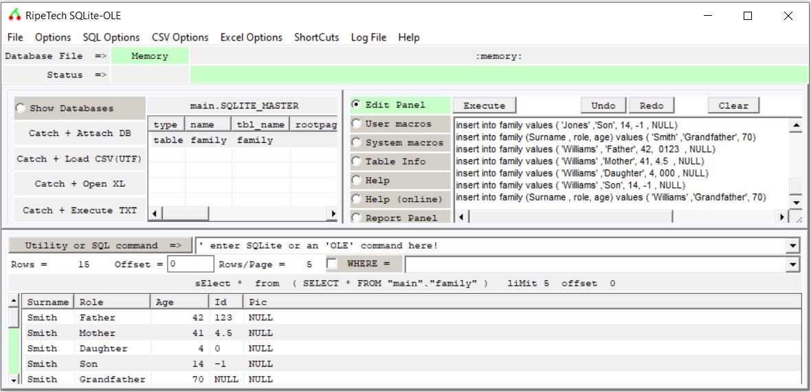 SQLite – GUI introduction part-3 – RipeTech Blog